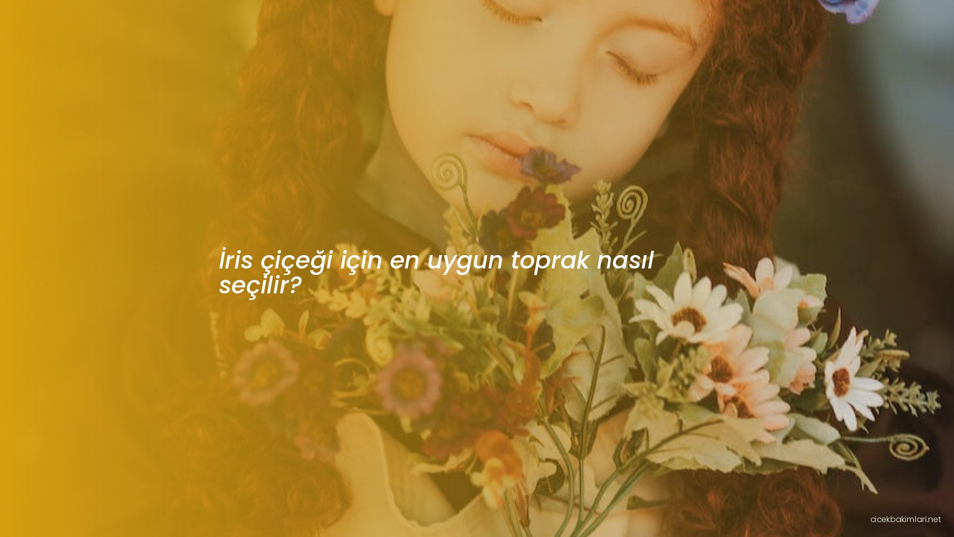 İris çiçeği için en uygun toprak nasıl seçilir?