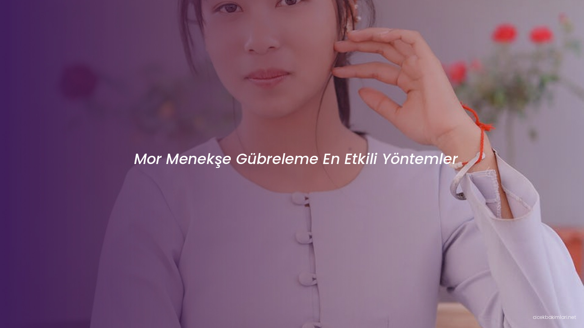 Mor Menekşe Gübreleme En Etkili Yöntemler