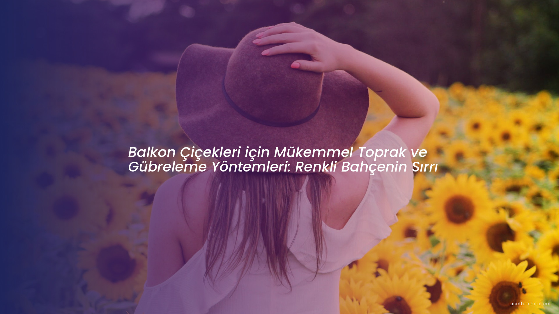 Balkon Çiçekleri için Mükemmel Toprak ve Gübreleme Yöntemleri: Renkli Bahçenin Sırrı