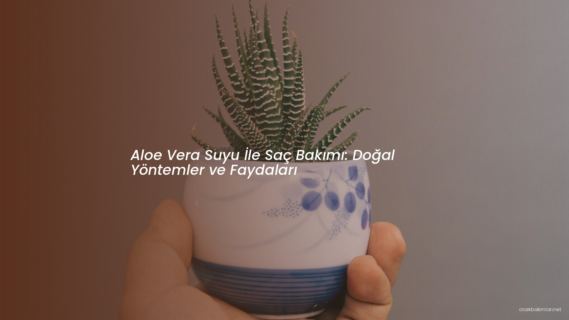 Aloe Vera Suyu İle Saç Bakımı: Doğal Yöntemler ve Faydaları