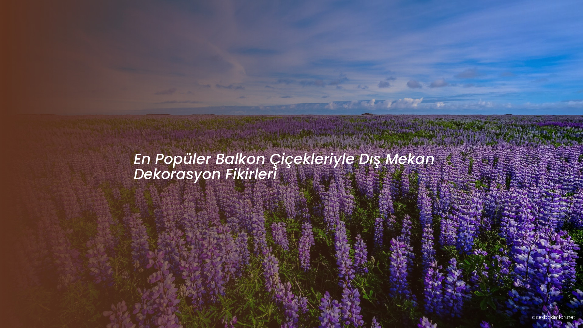 En Popüler Balkon Çiçekleriyle Dış Mekan Dekorasyon Fikirleri