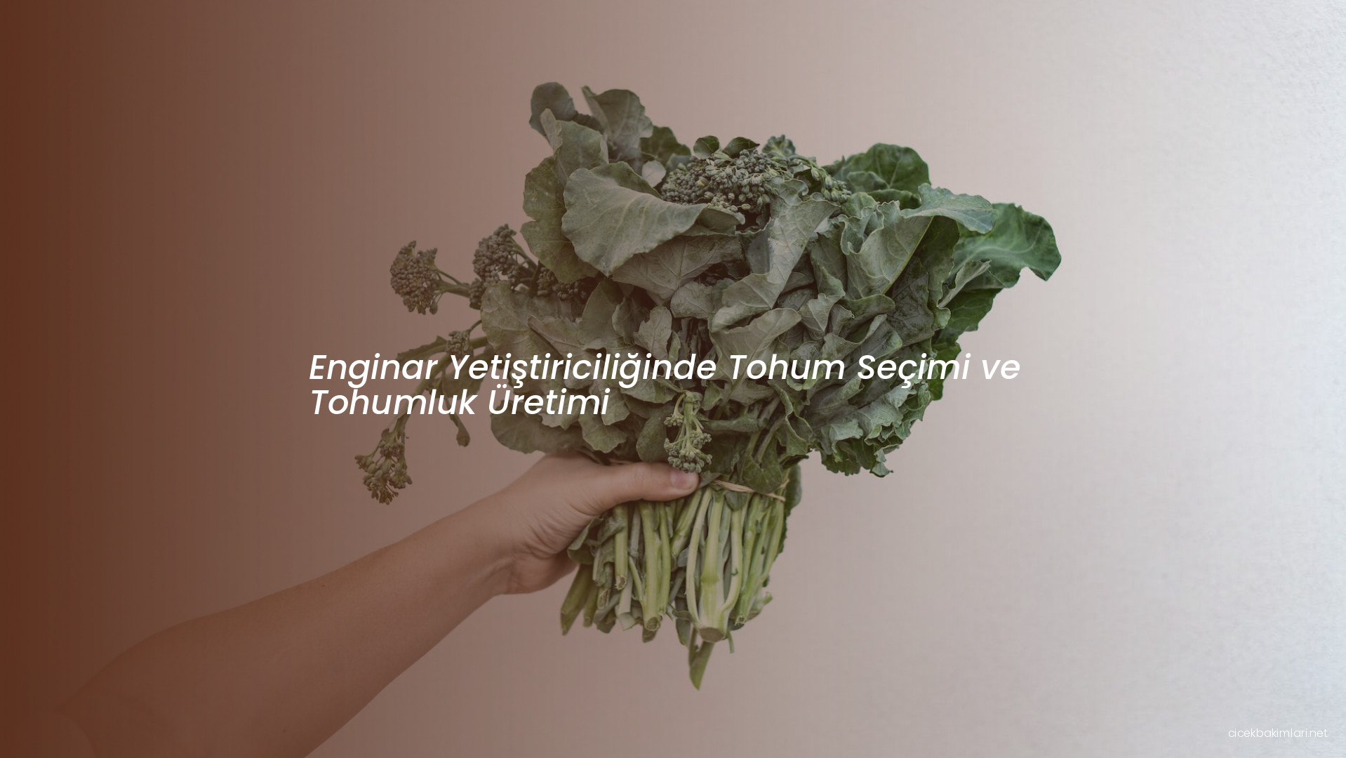 Enginar Yetiştiriciliğinde Tohum Seçimi ve Tohumluk Üretimi