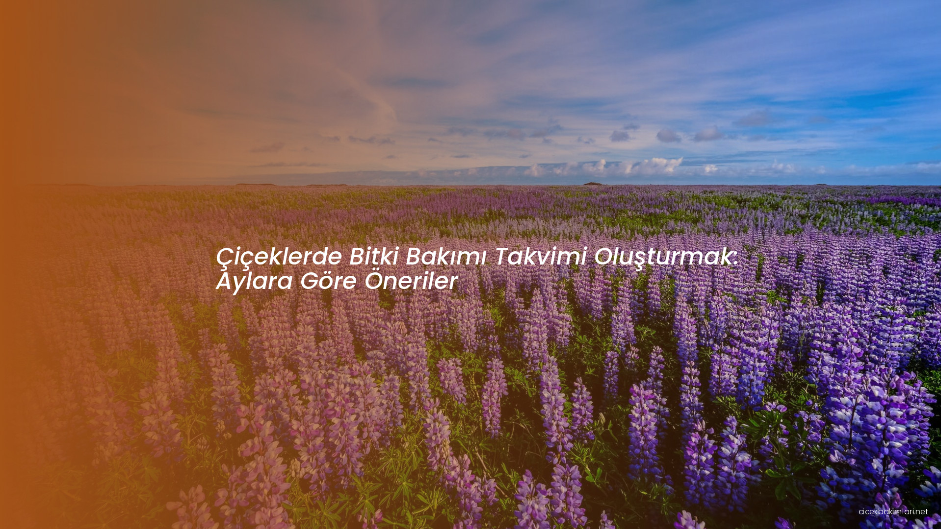 Çiçeklerde Bitki Bakımı Takvimi Oluşturmak: Aylara Göre Öneriler