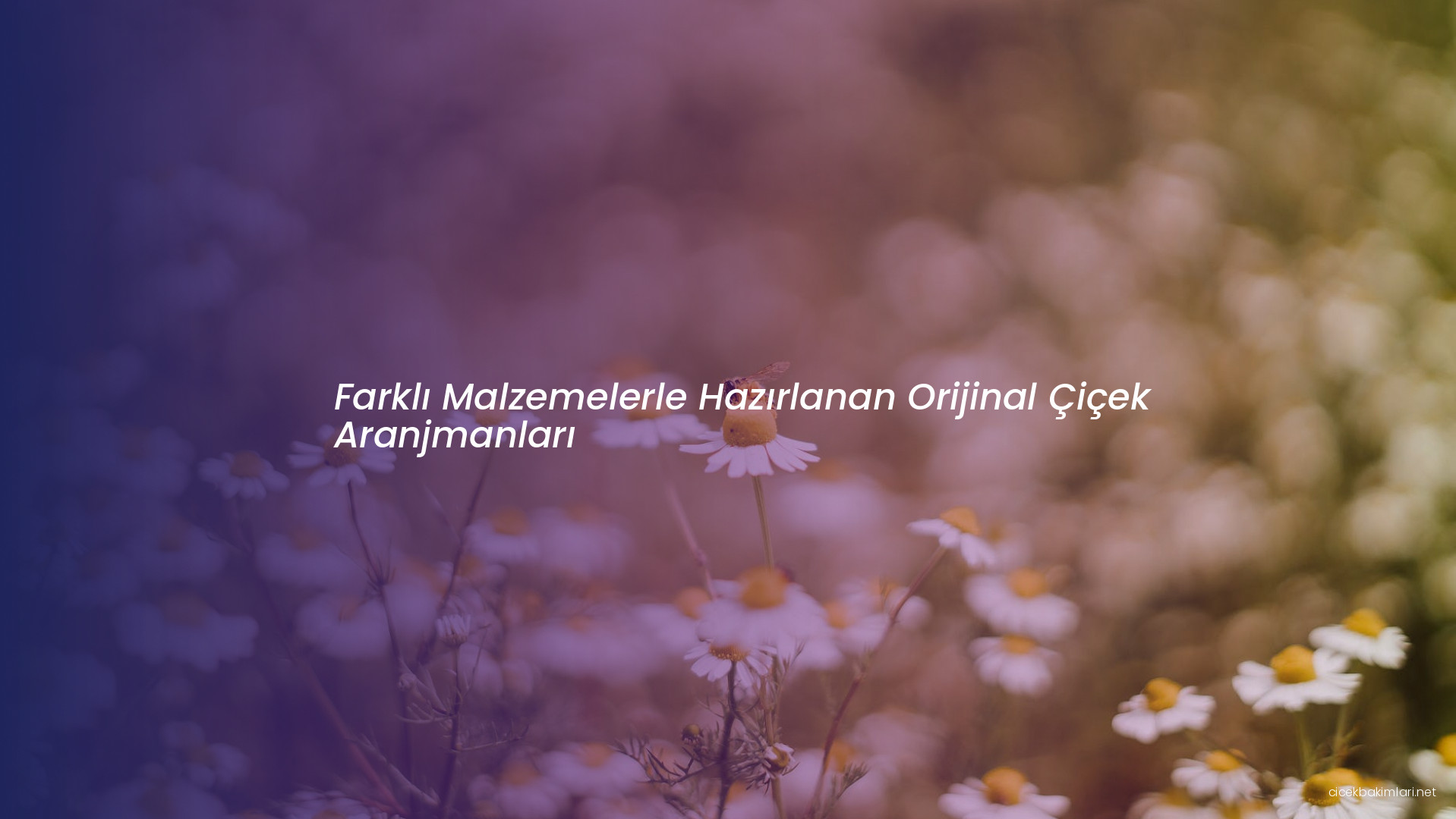 Farklı Malzemelerle Hazırlanan Orijinal Çiçek Aranjmanları