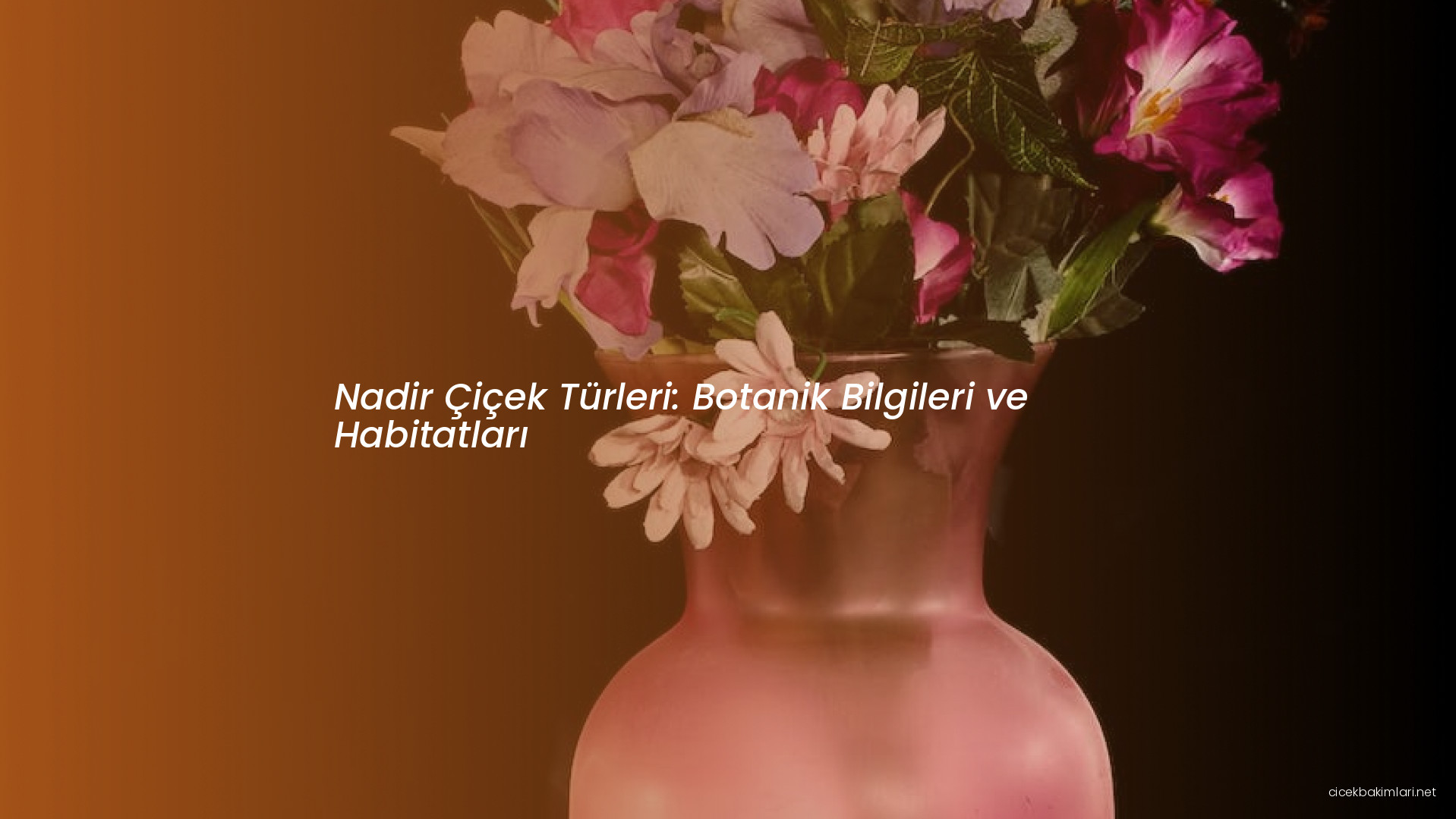 Nadir Çiçek Türleri: Botanik Bilgileri ve Habitatları