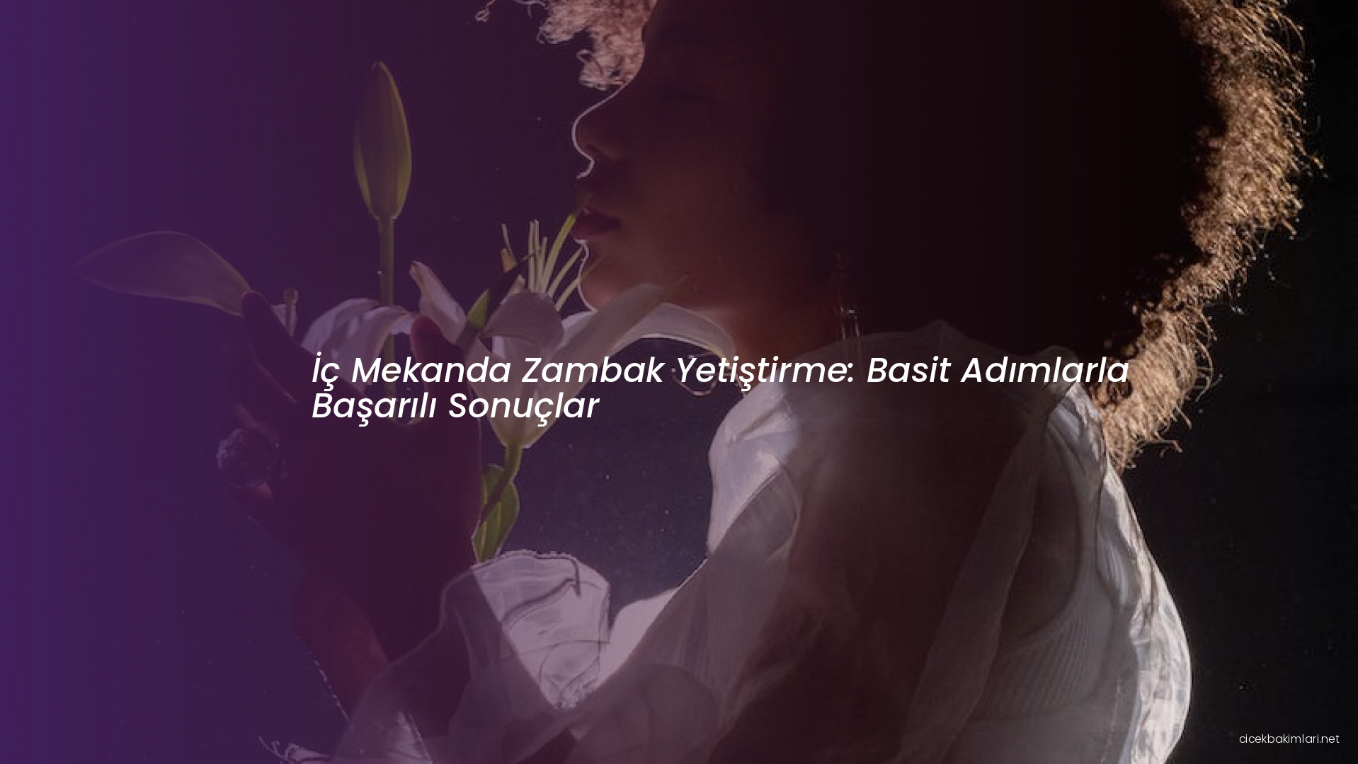 İç Mekanda Zambak Yetiştirme: Basit Adımlarla Başarılı Sonuçlar