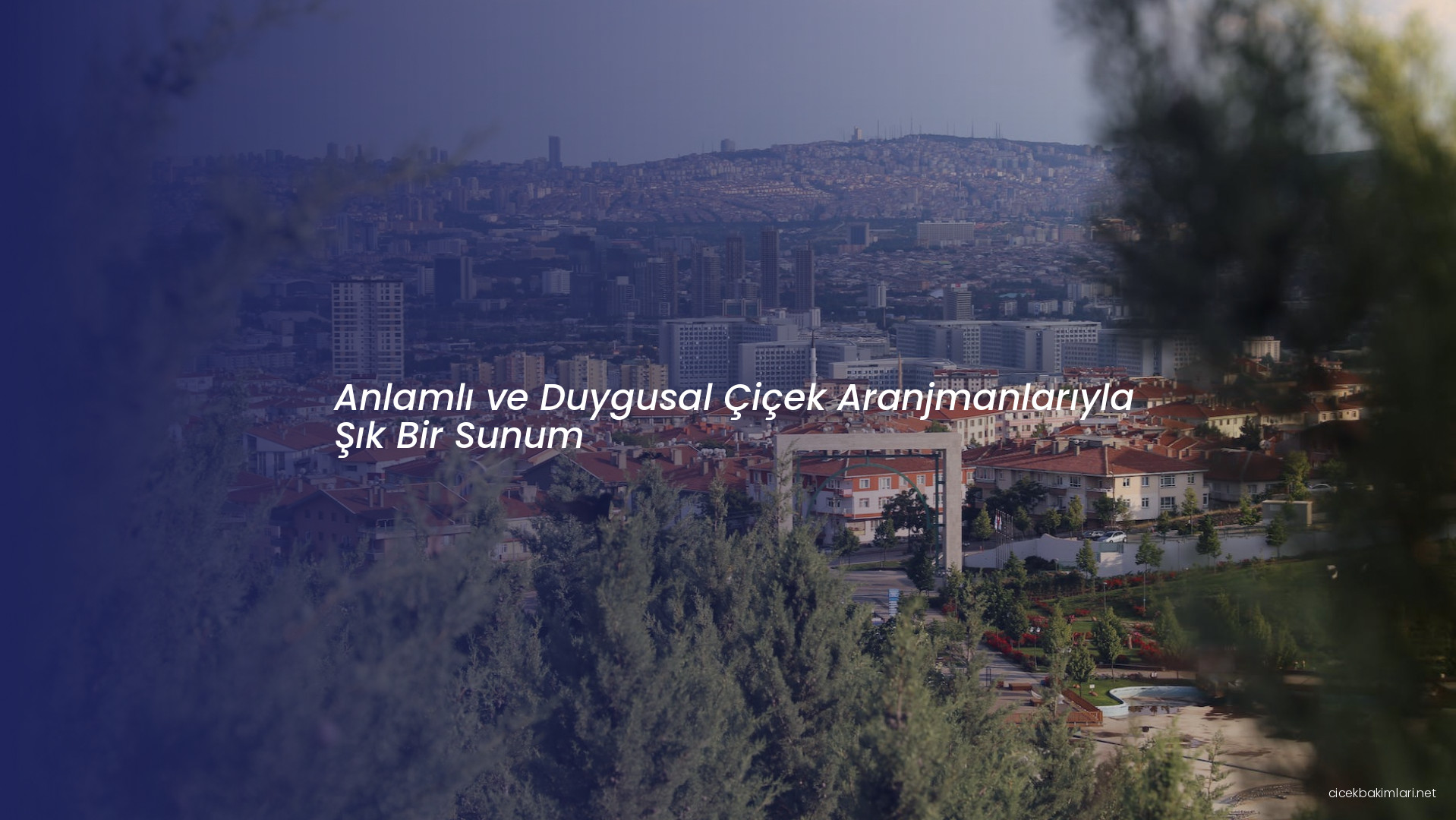 Anlamlı ve Duygusal Çiçek Aranjmanlarıyla Şık Bir Sunum