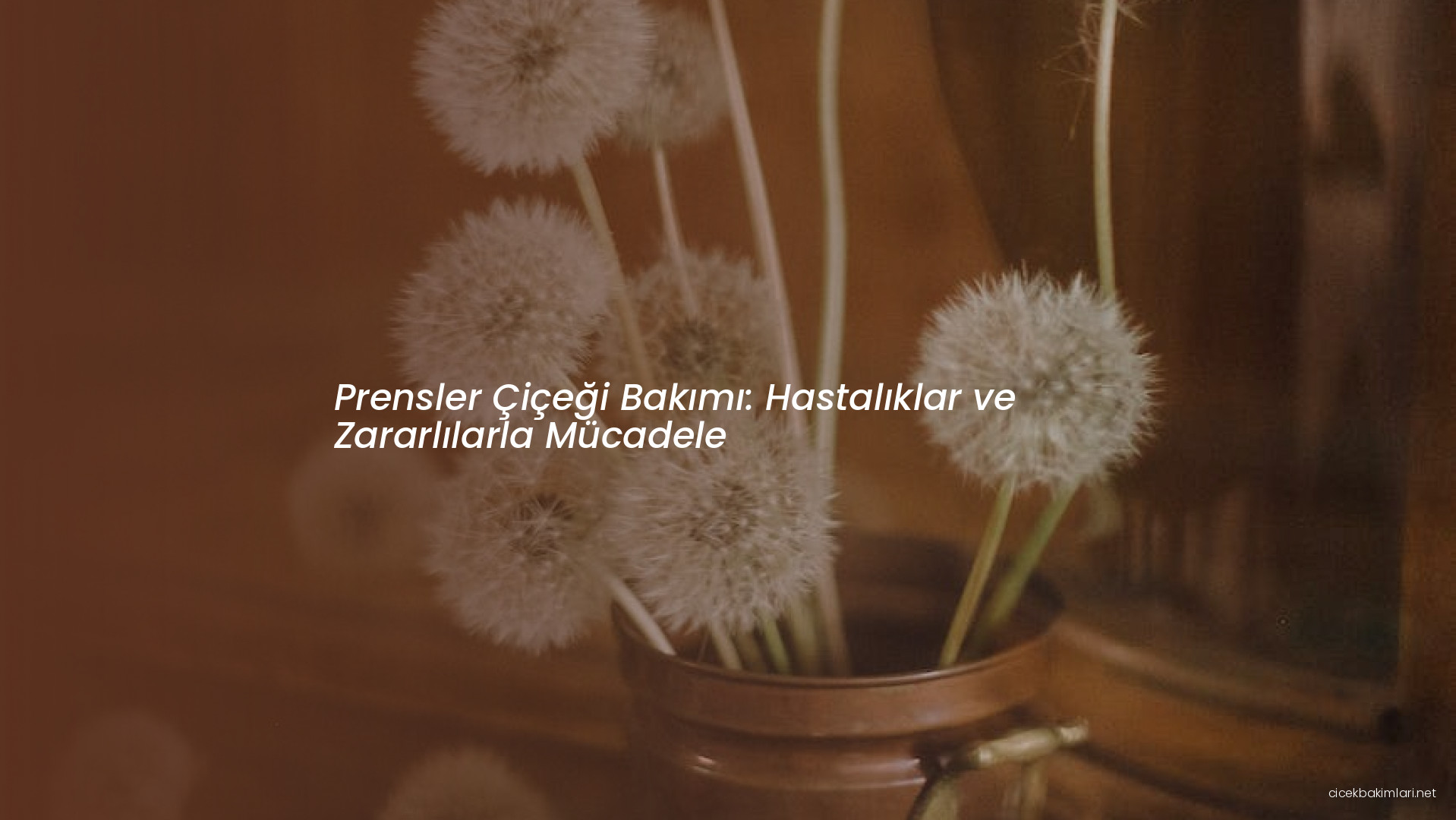 Prensler Çiçeği Bakımı: Hastalıklar ve Zararlılarla Mücadele