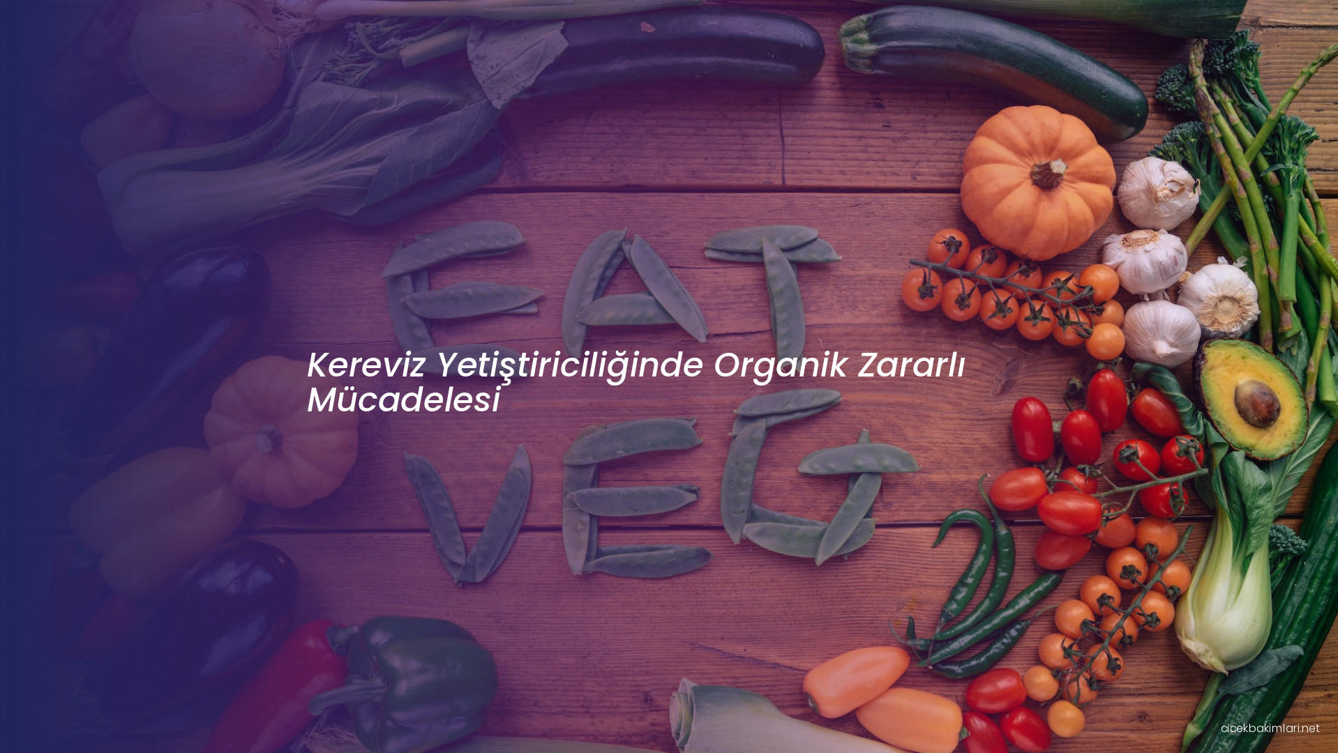 Kereviz Yetiştiriciliğinde Organik Zararlı Mücadelesi