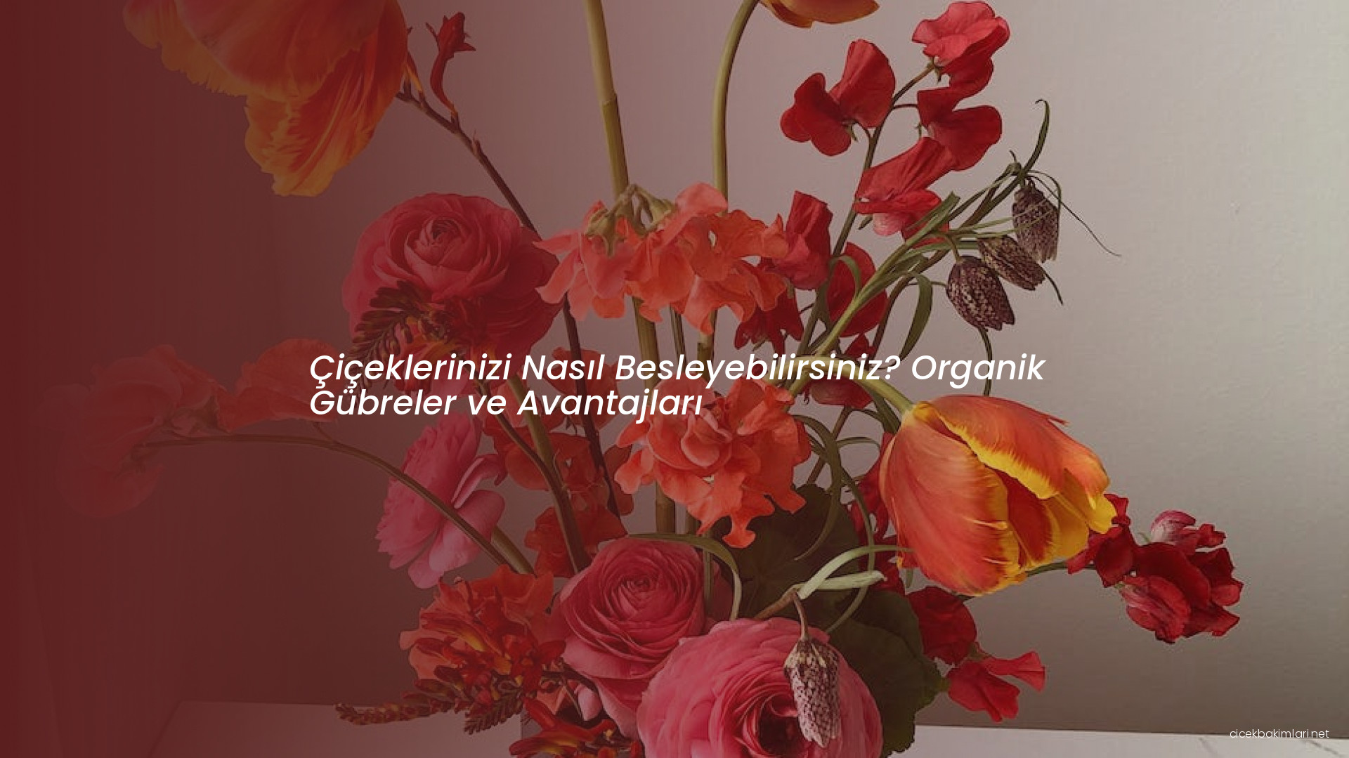Çiçeklerinizi Nasıl Besleyebilirsiniz? Organik Gübreler ve Avantajları