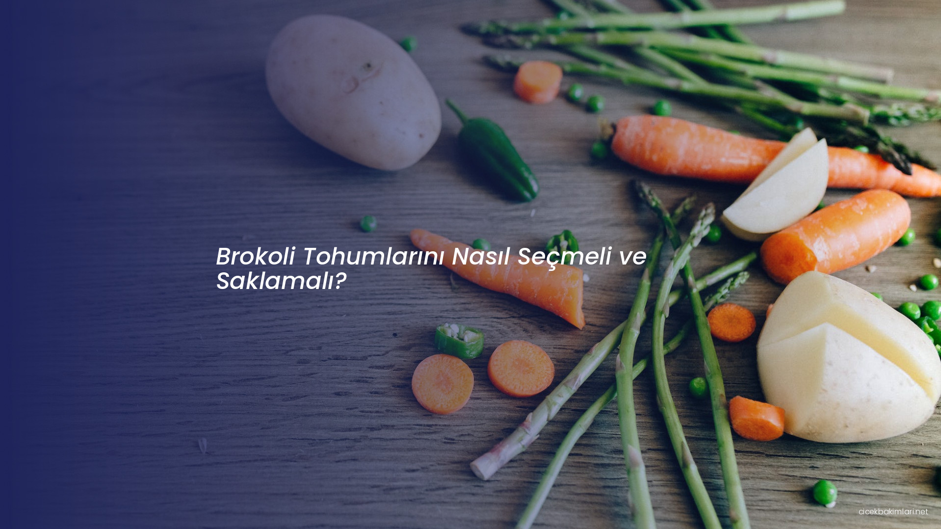 Brokoli Tohumlarını Nasıl Seçmeli ve Saklamalı?