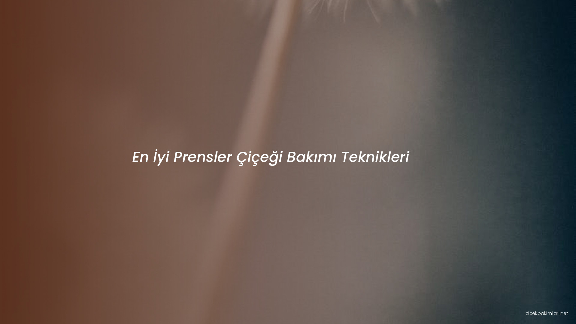 En İyi Prensler Çiçeği Bakımı Teknikleri