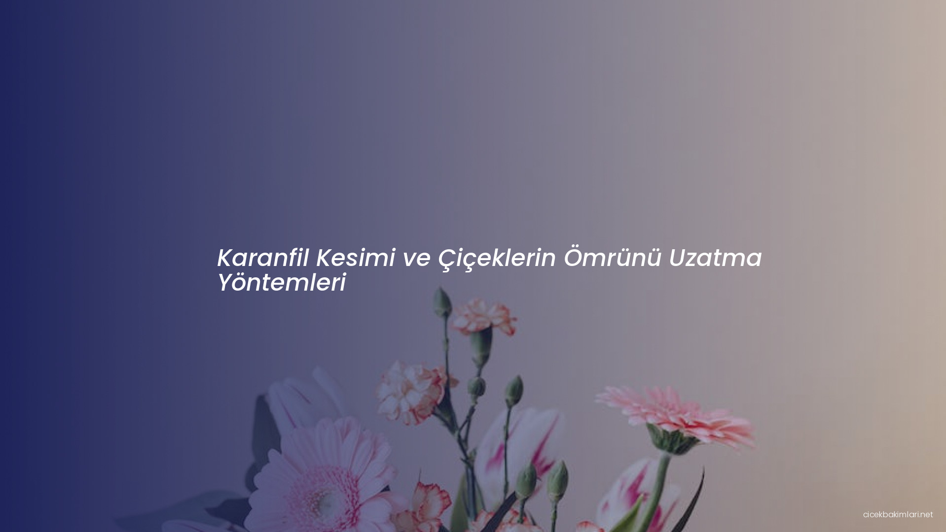 Karanfil Kesimi ve Çiçeklerin Ömrünü Uzatma Yöntemleri