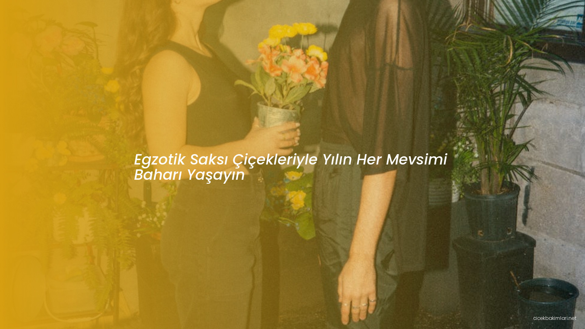 Egzotik Saksı Çiçekleriyle Yılın Her Mevsimi Baharı Yaşayın