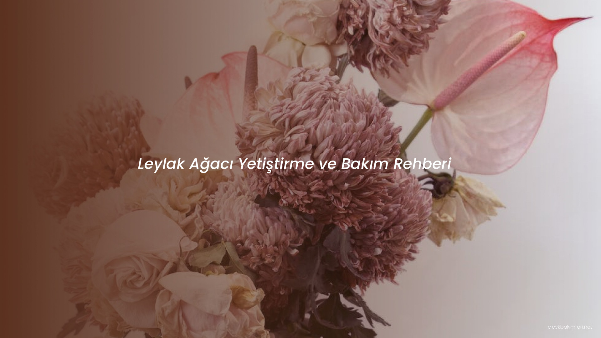 Leylak Ağacı Yetiştirme ve Bakım Rehberi