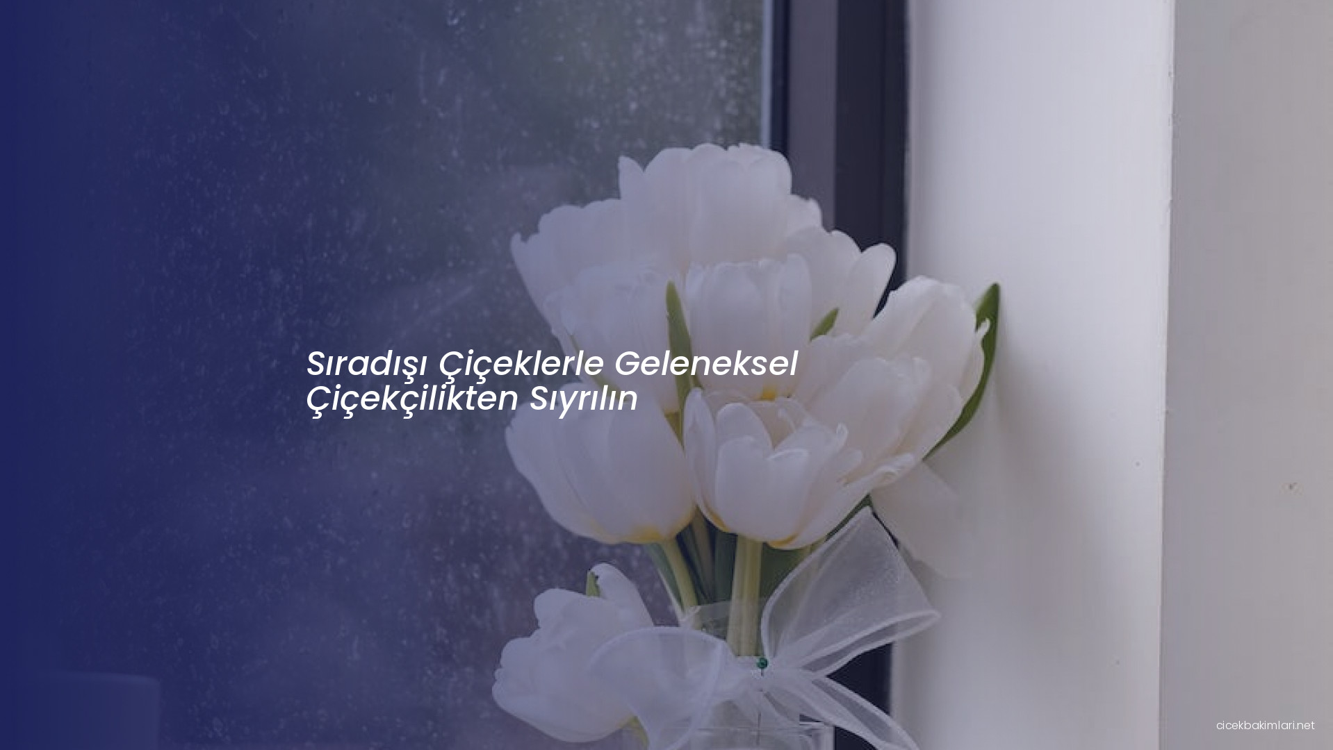 Sıradışı Çiçeklerle Geleneksel Çiçekçilikten Sıyrılın