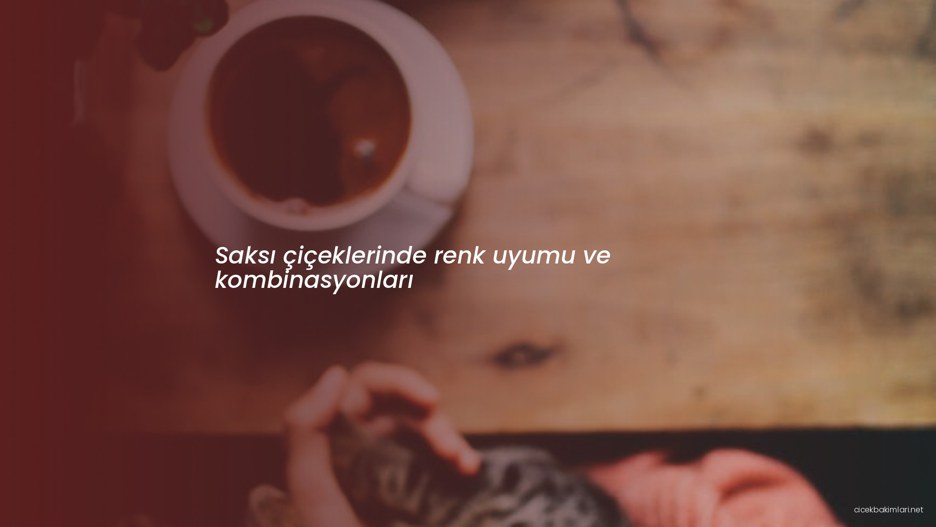 Saksı çiçeklerinde renk uyumu ve kombinasyonları