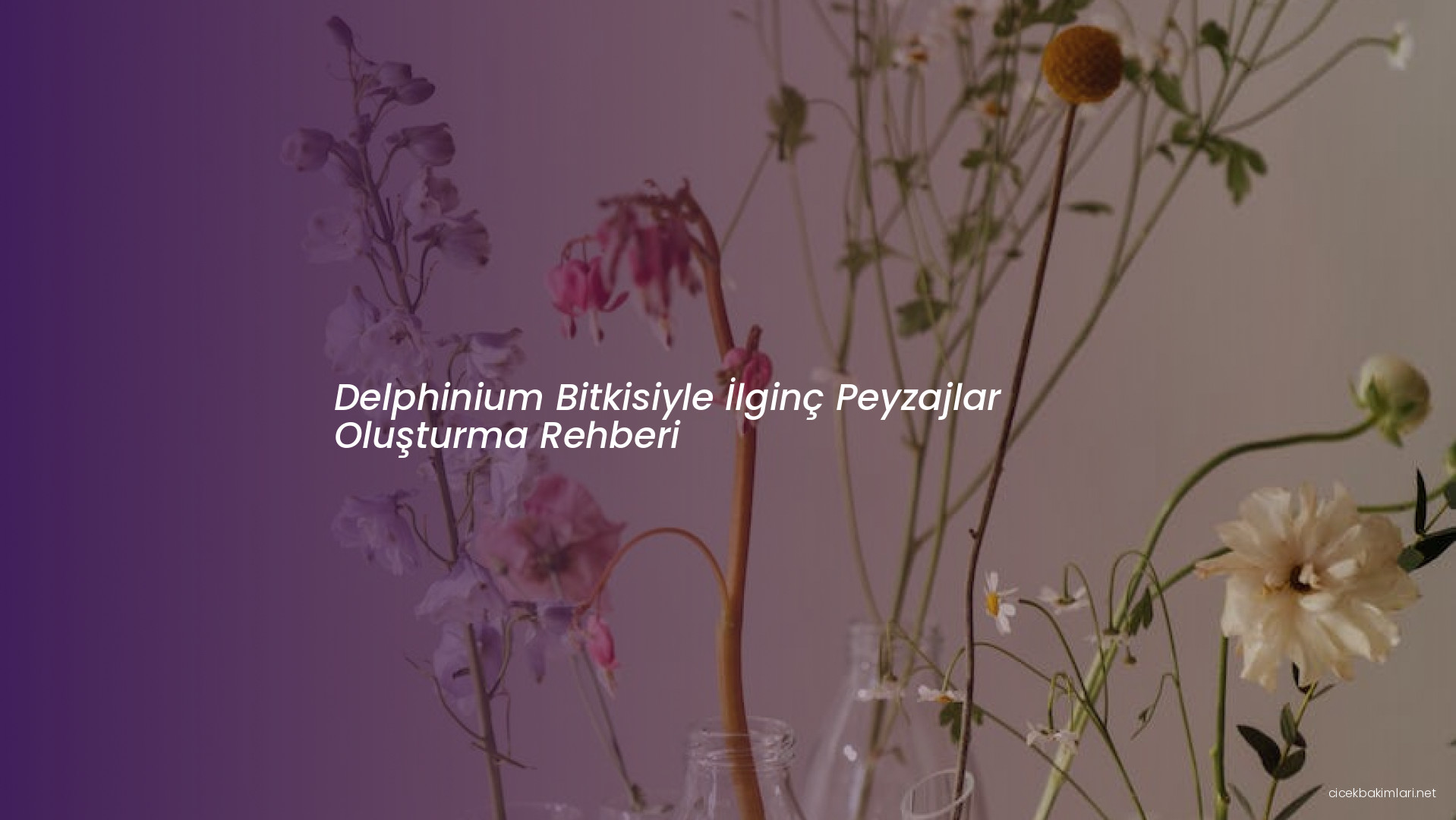 Delphinium Bitkisiyle İlginç Peyzajlar Oluşturma Rehberi