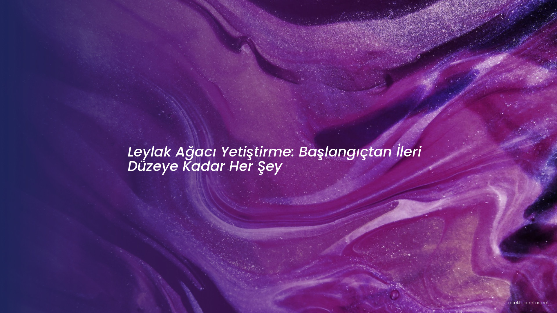 Leylak Ağacı Yetiştirme: Başlangıçtan İleri Düzeye Kadar Her Şey