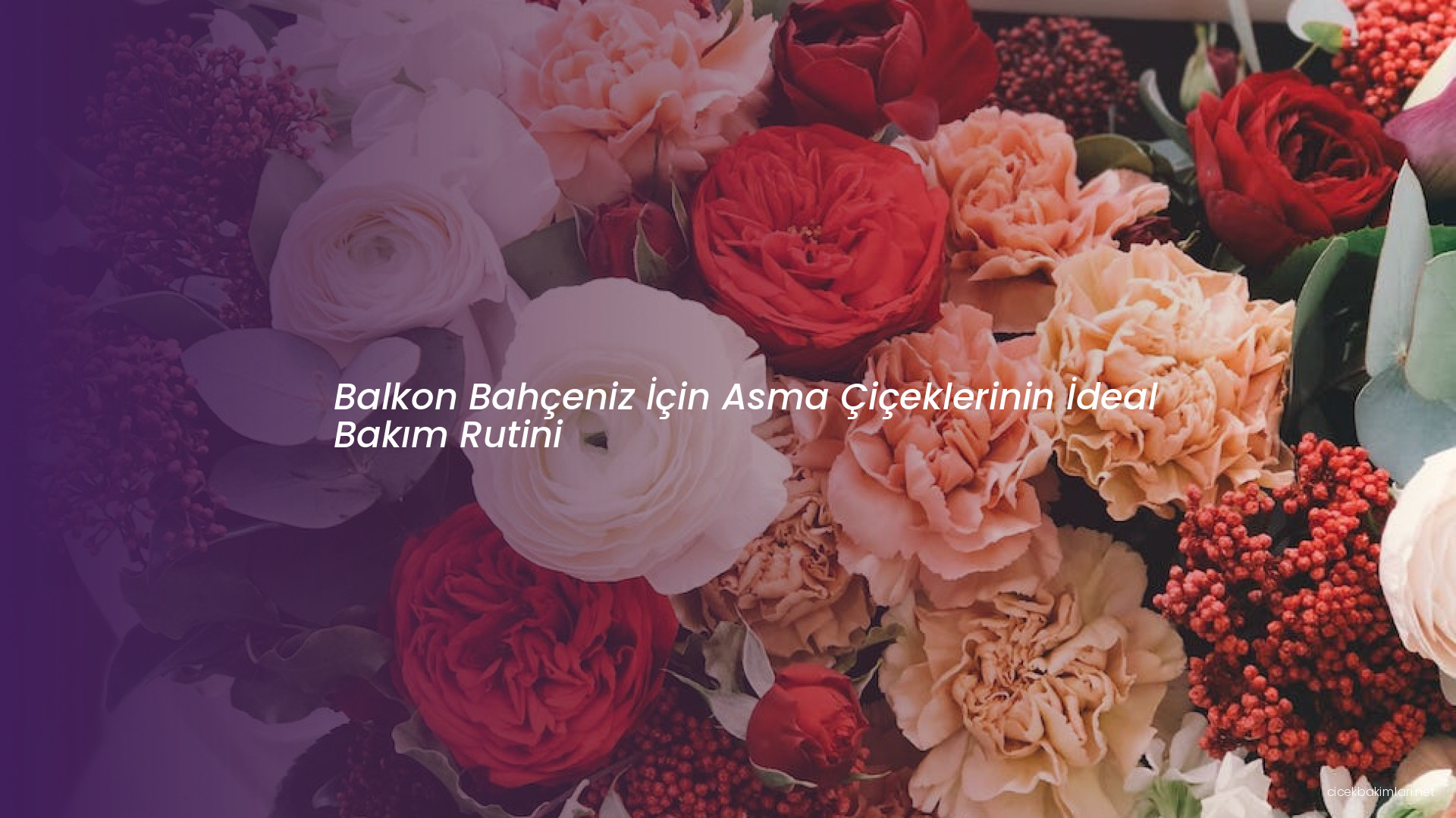 Balkon Bahçeniz İçin Asma Çiçeklerinin İdeal Bakım Rutini