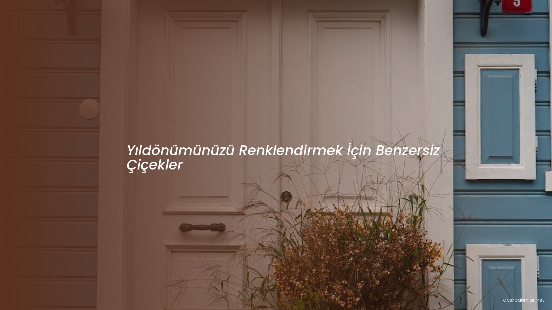Yıldönümünüzü Renklendirmek İçin Benzersiz Çiçekler