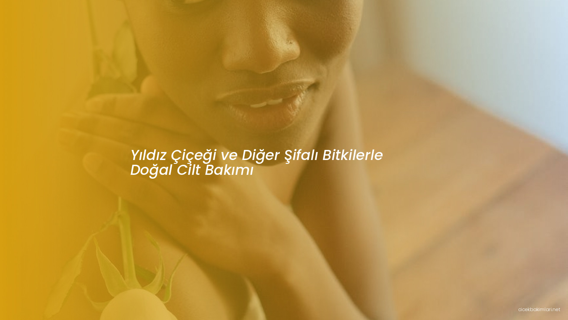 Yıldız Çiçeği ve Diğer Şifalı Bitkilerle Doğal Cilt Bakımı