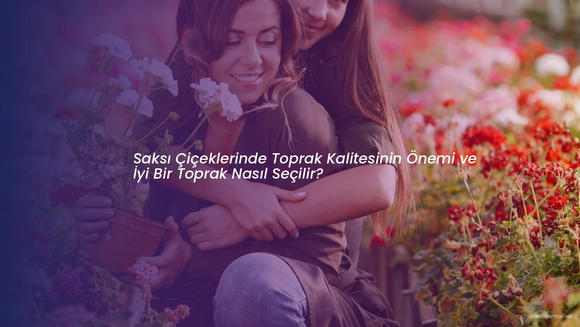 Saksı Çiçeklerinde Toprak Kalitesinin Önemi ve İyi Bir Toprak Nasıl Seçilir?