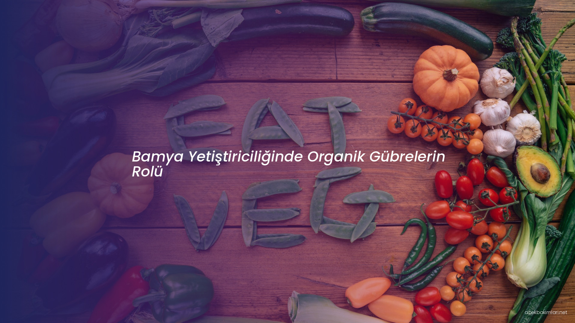 Bamya Yetiştiriciliğinde Organik Gübrelerin Rolü