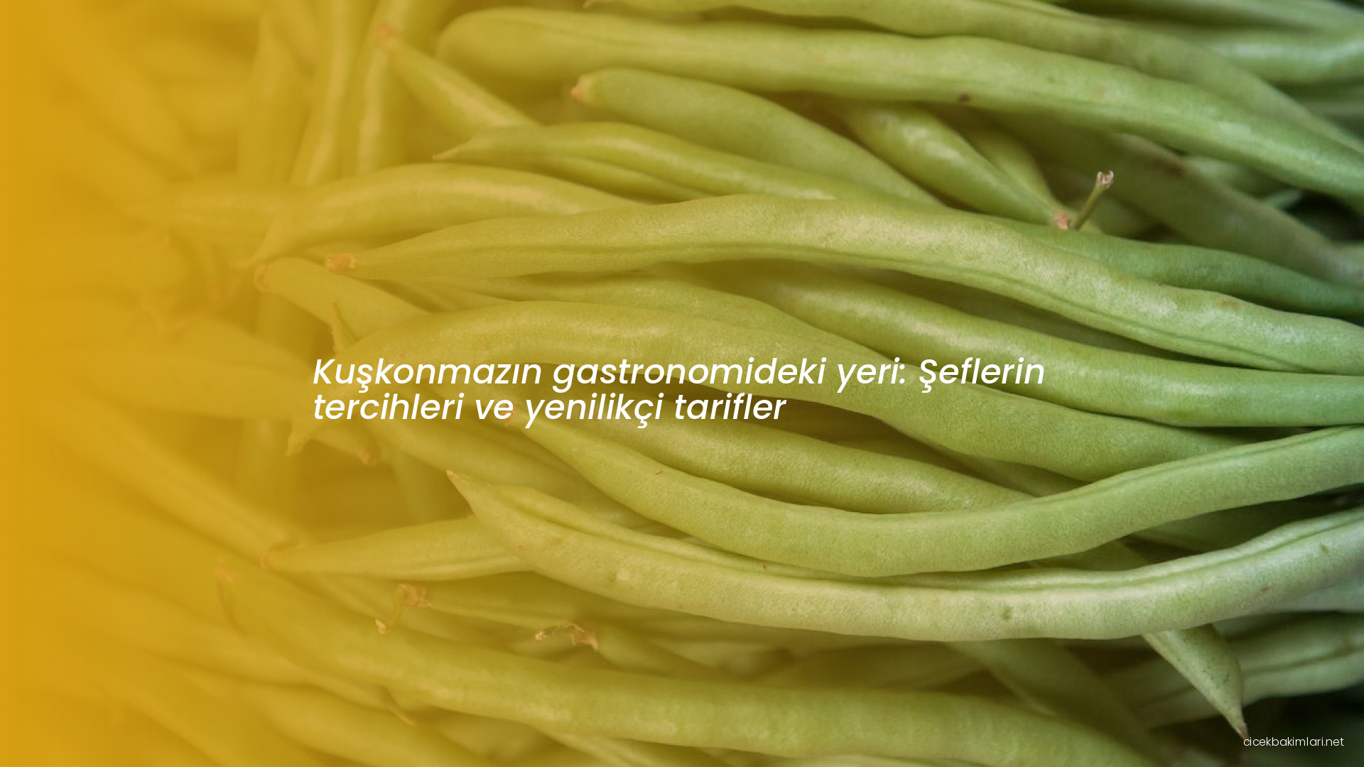 Kuşkonmazın gastronomideki yeri: Şeflerin tercihleri ve yenilikçi tarifler