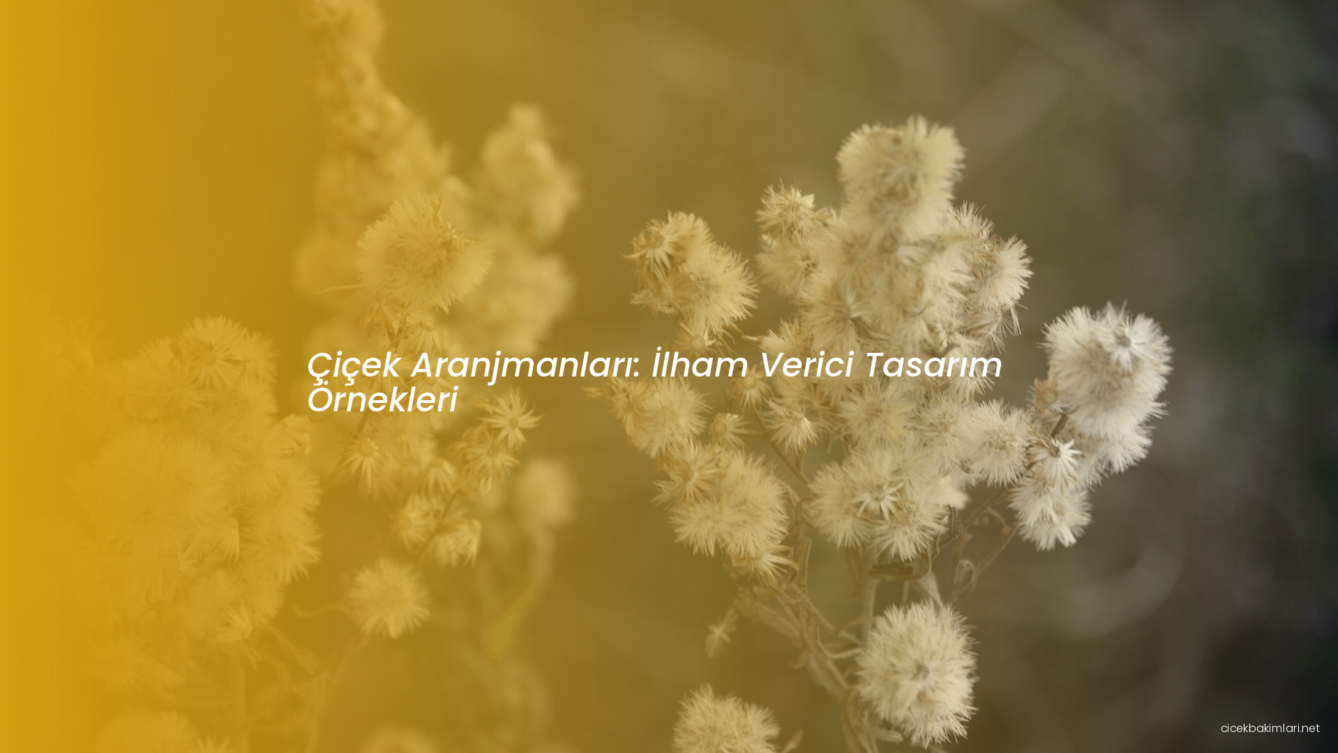 Çiçek Aranjmanları: İlham Verici Tasarım Örnekleri