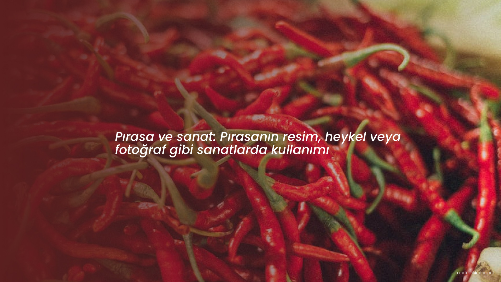 Pırasa ve sanat: Pırasanın resim, heykel veya fotoğraf gibi sanatlarda kullanımı