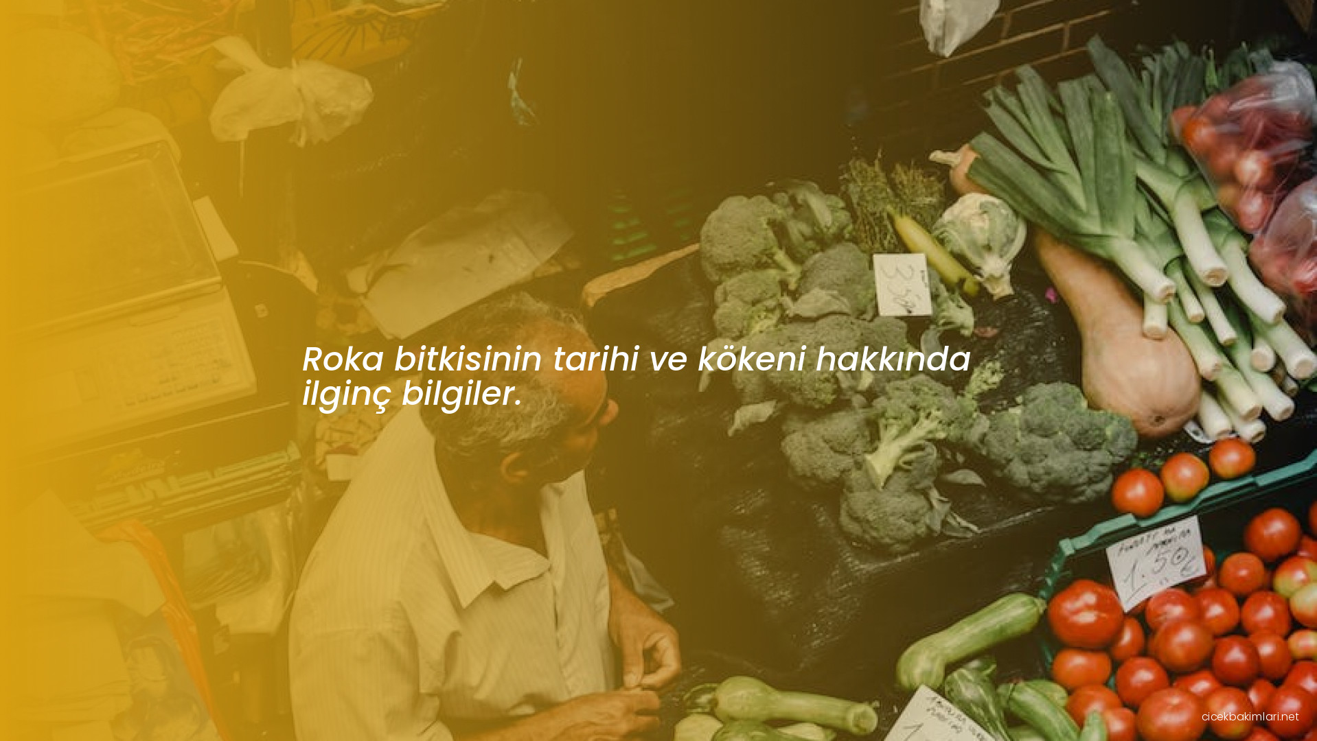 Roka bitkisinin tarihi ve kökeni hakkında ilginç bilgiler.