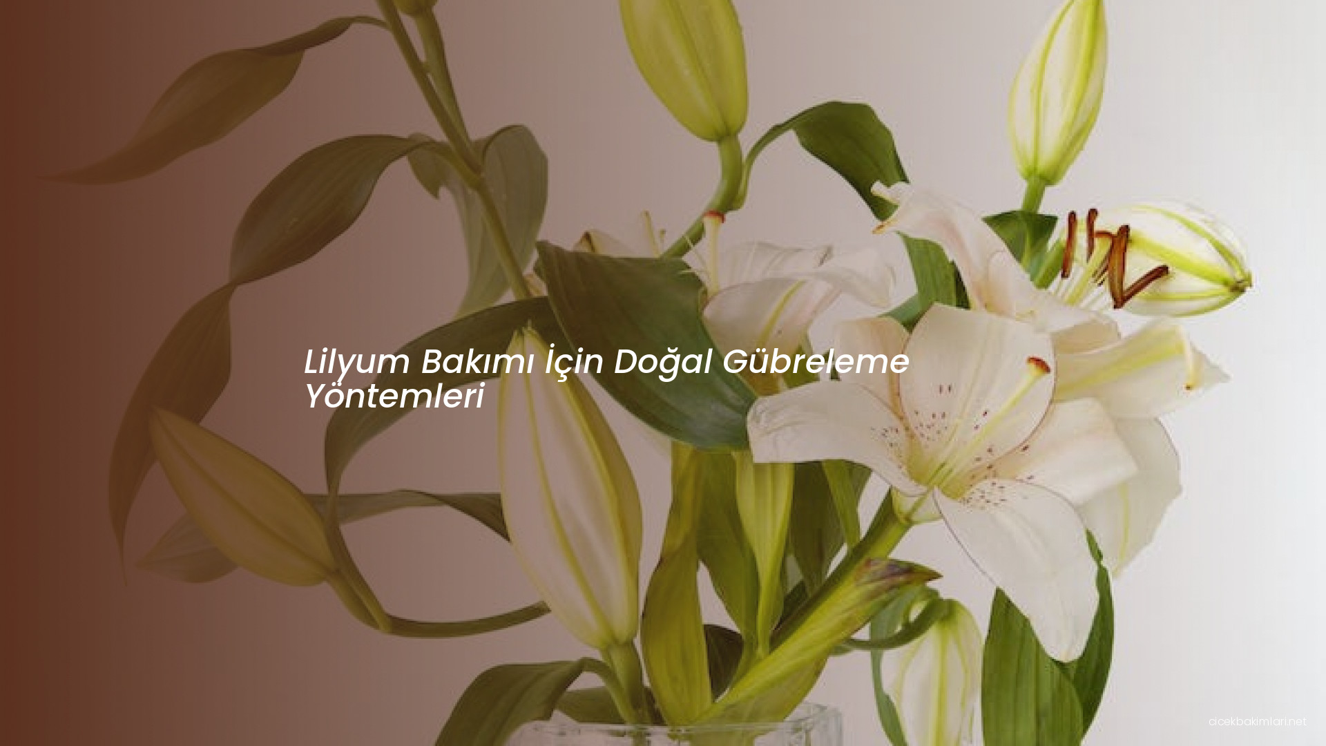 Lilyum Bakımı İçin Doğal Gübreleme Yöntemleri