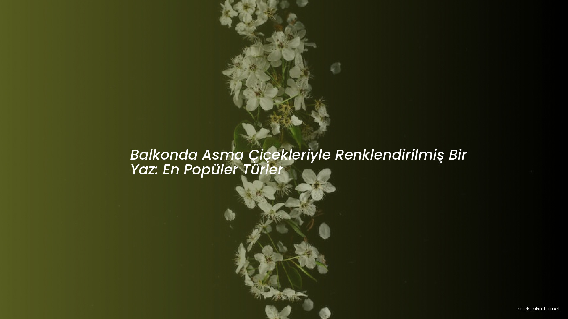 Balkonda Asma Çiçekleriyle Renklendirilmiş Bir Yaz: En Popüler Türler