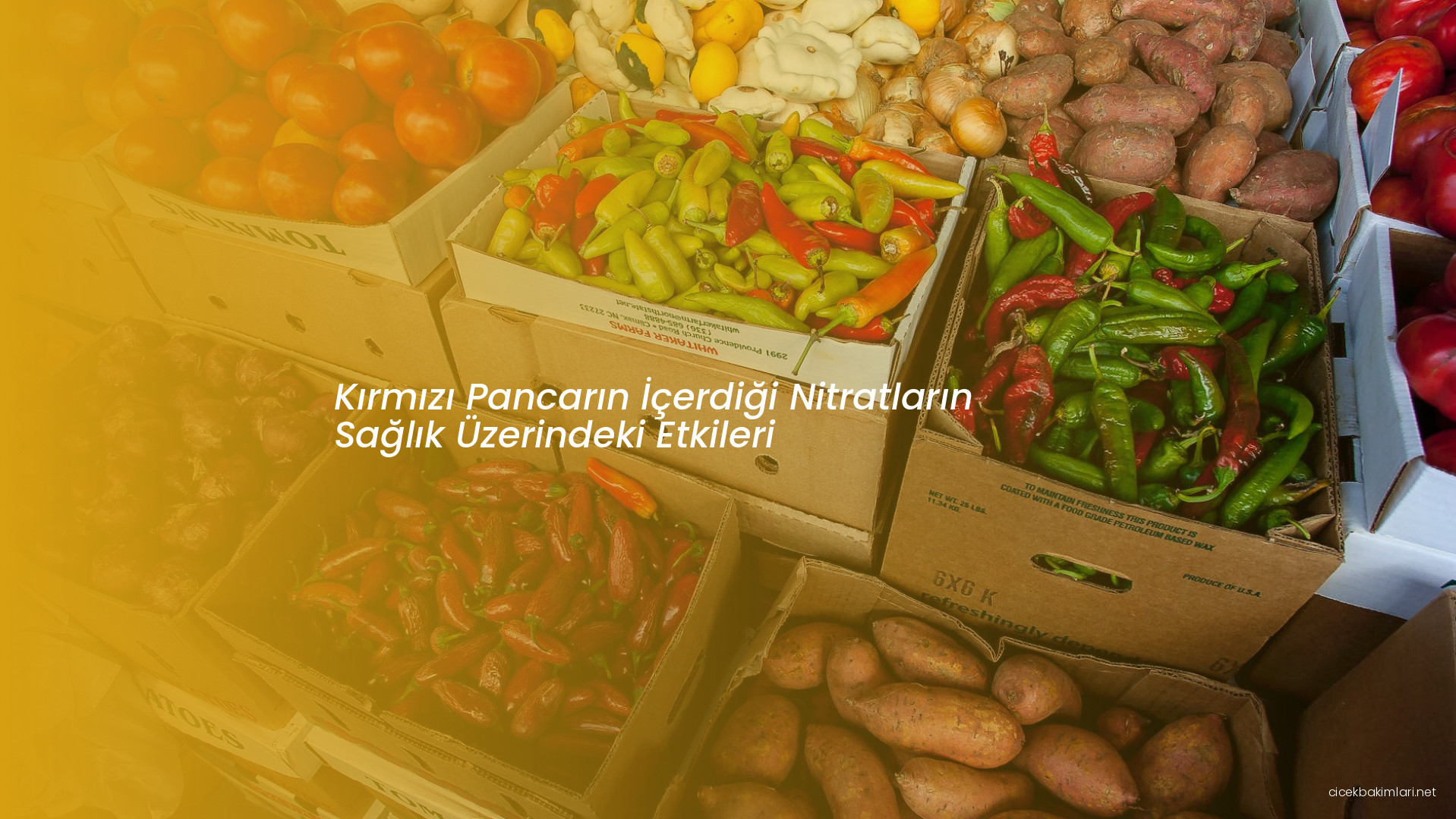 Kırmızı Pancarın İçerdiği Nitratların Sağlık Üzerindeki Etkileri