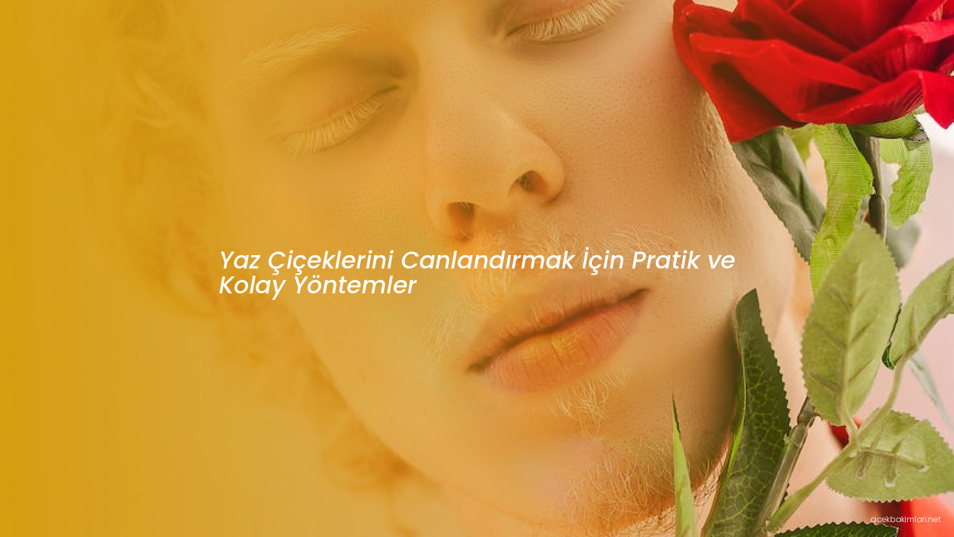 Yaz Çiçeklerini Canlandırmak İçin Pratik ve Kolay Yöntemler