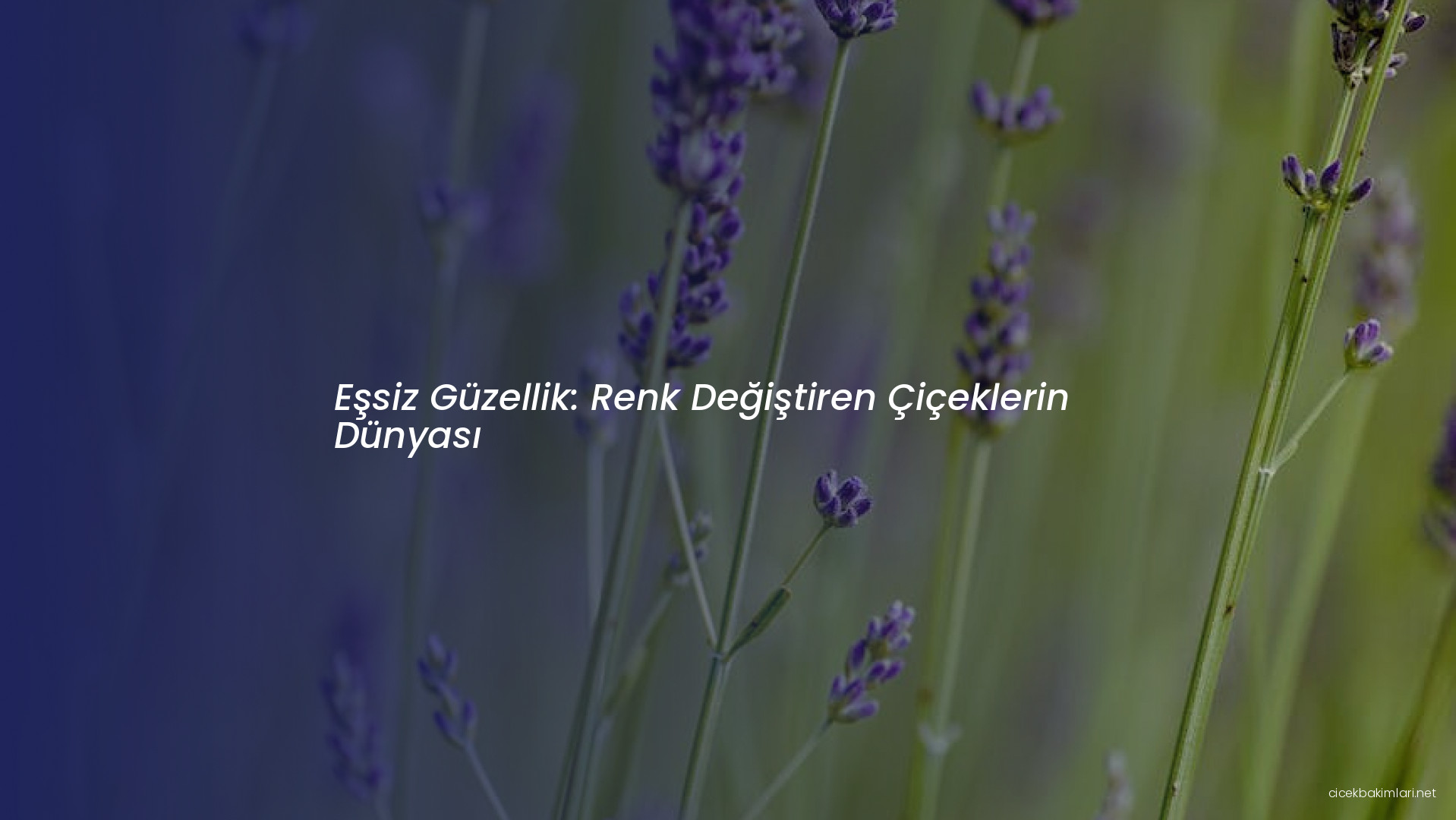 Eşsiz Güzellik: Renk Değiştiren Çiçeklerin Dünyası