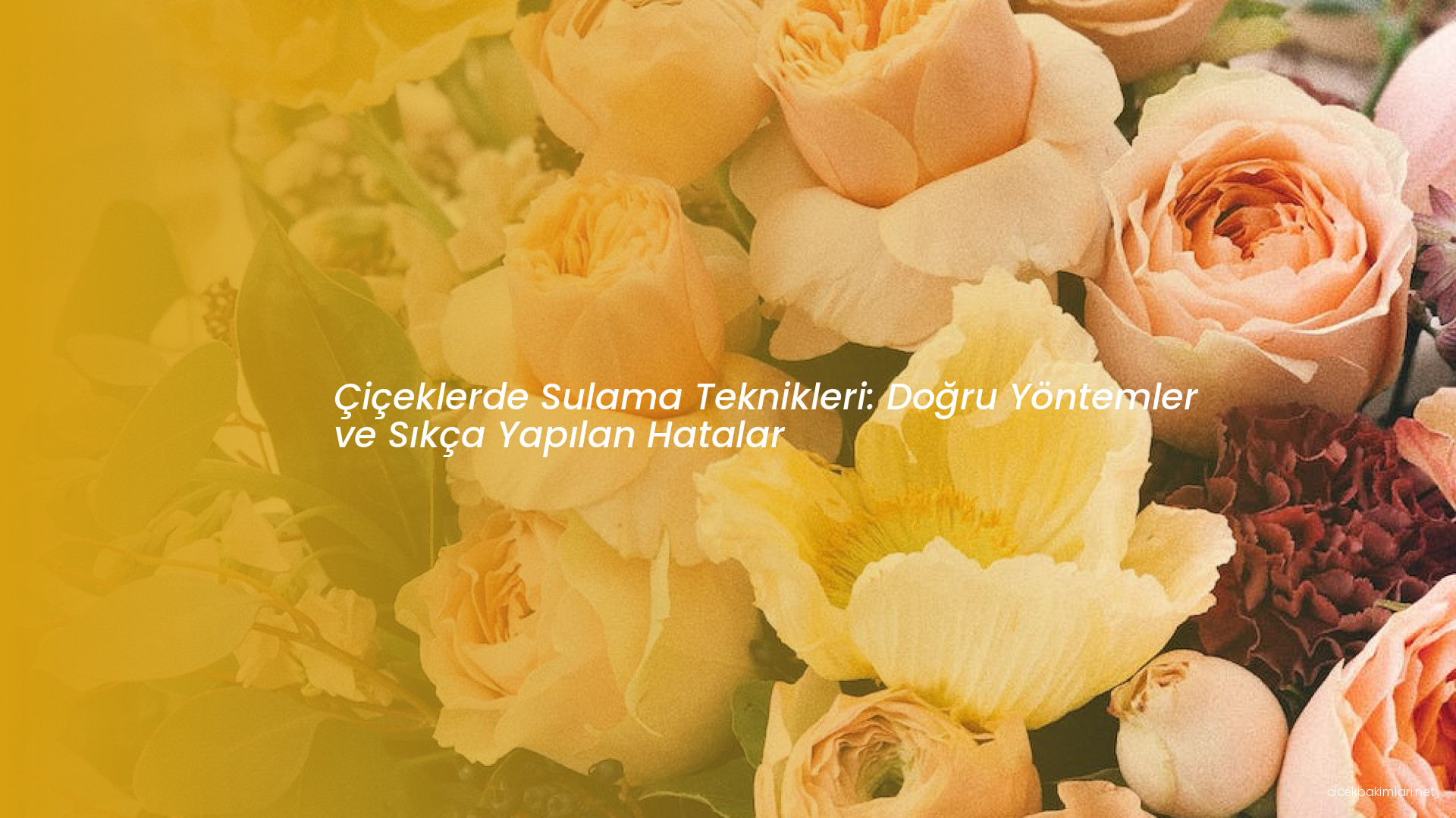 Çiçeklerde Sulama Teknikleri: Doğru Yöntemler ve Sıkça Yapılan Hatalar