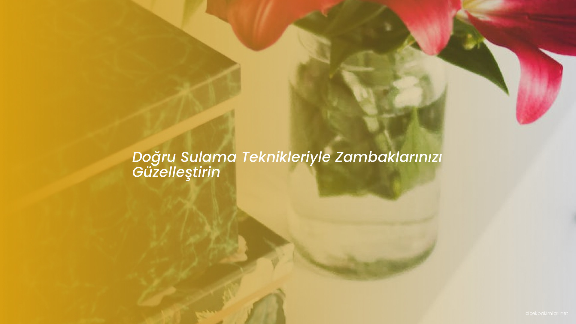 Doğru Sulama Teknikleriyle Zambaklarınızı Güzelleştirin