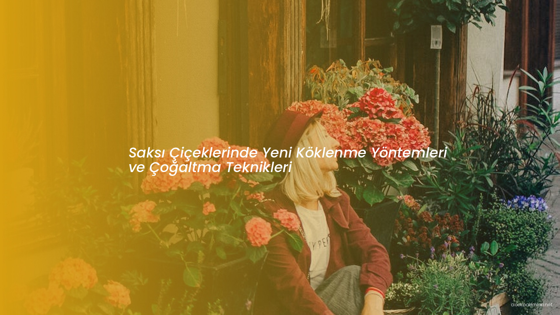 Saksı Çiçeklerinde Yeni Köklenme Yöntemleri ve Çoğaltma Teknikleri