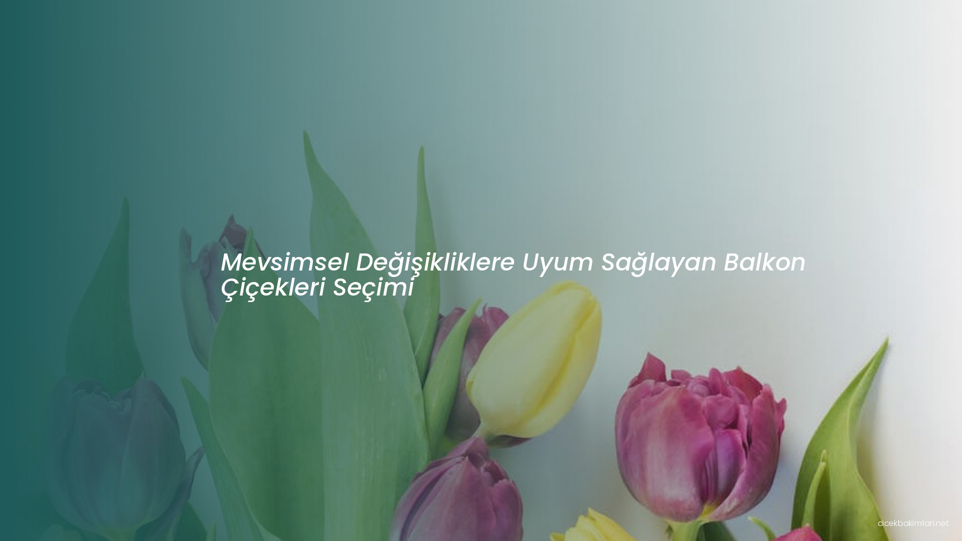 Mevsimsel Değişikliklere Uyum Sağlayan Balkon Çiçekleri Seçimi