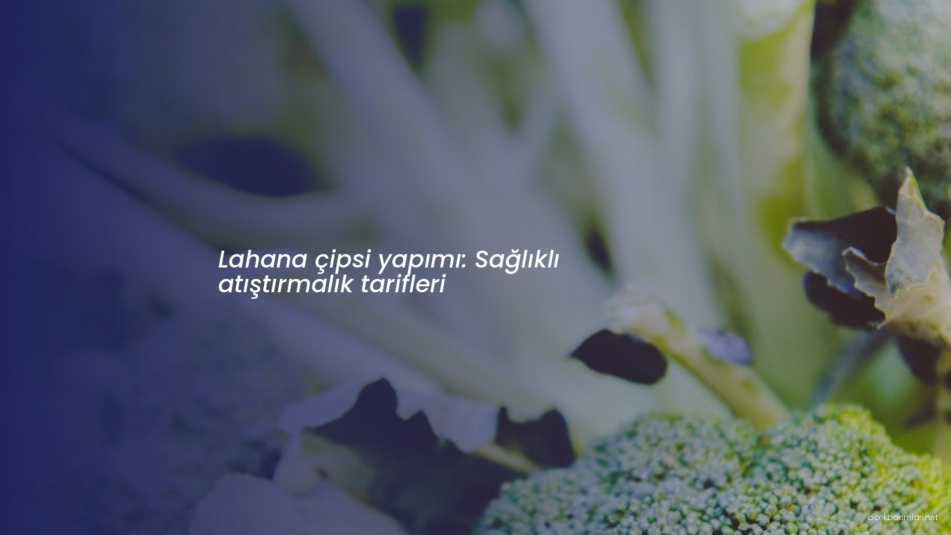 Lahana çipsi yapımı: Sağlıklı atıştırmalık tarifleri