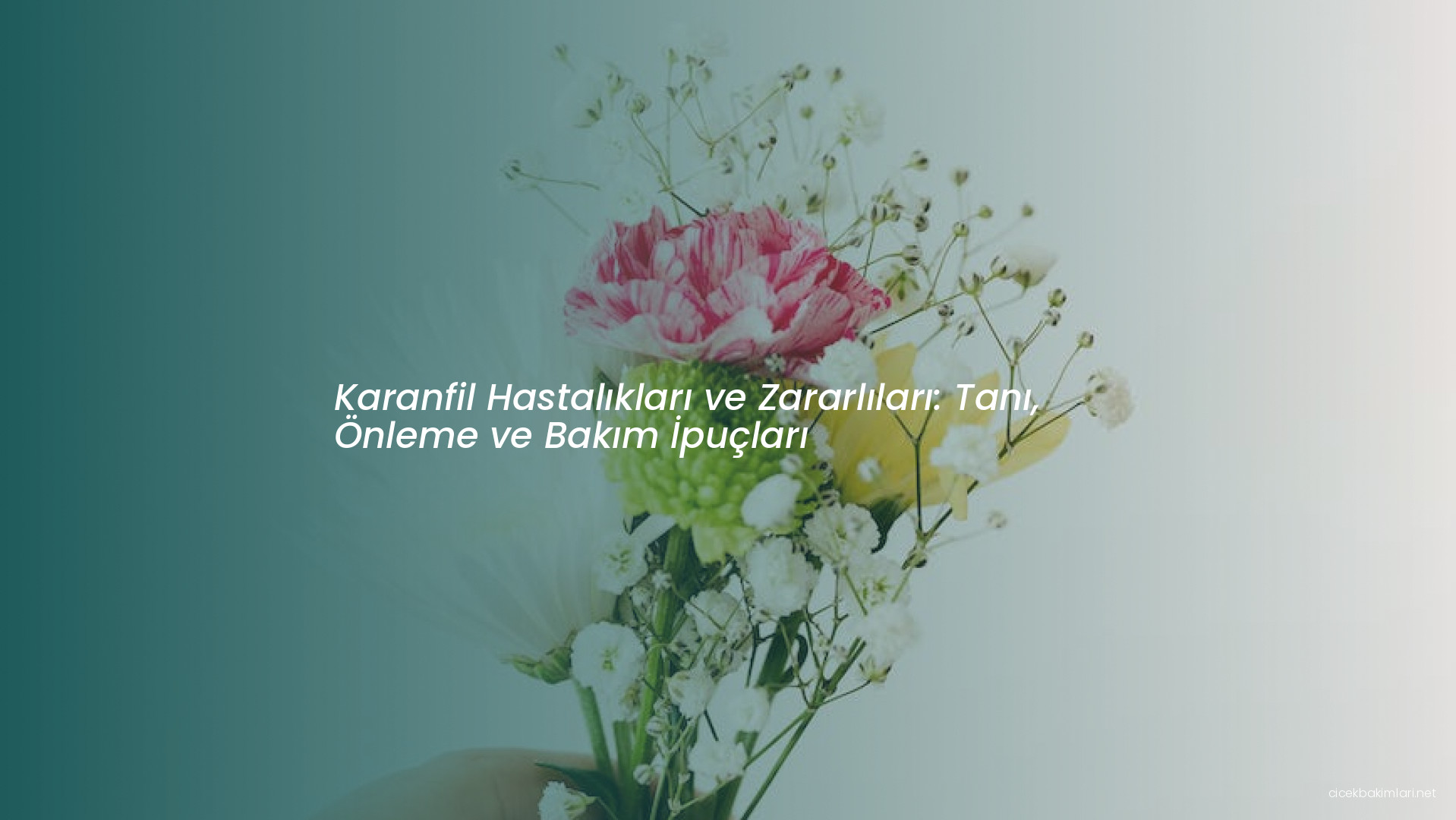 Karanfil Hastalıkları ve Zararlıları: Tanı, Önleme ve Bakım İpuçları