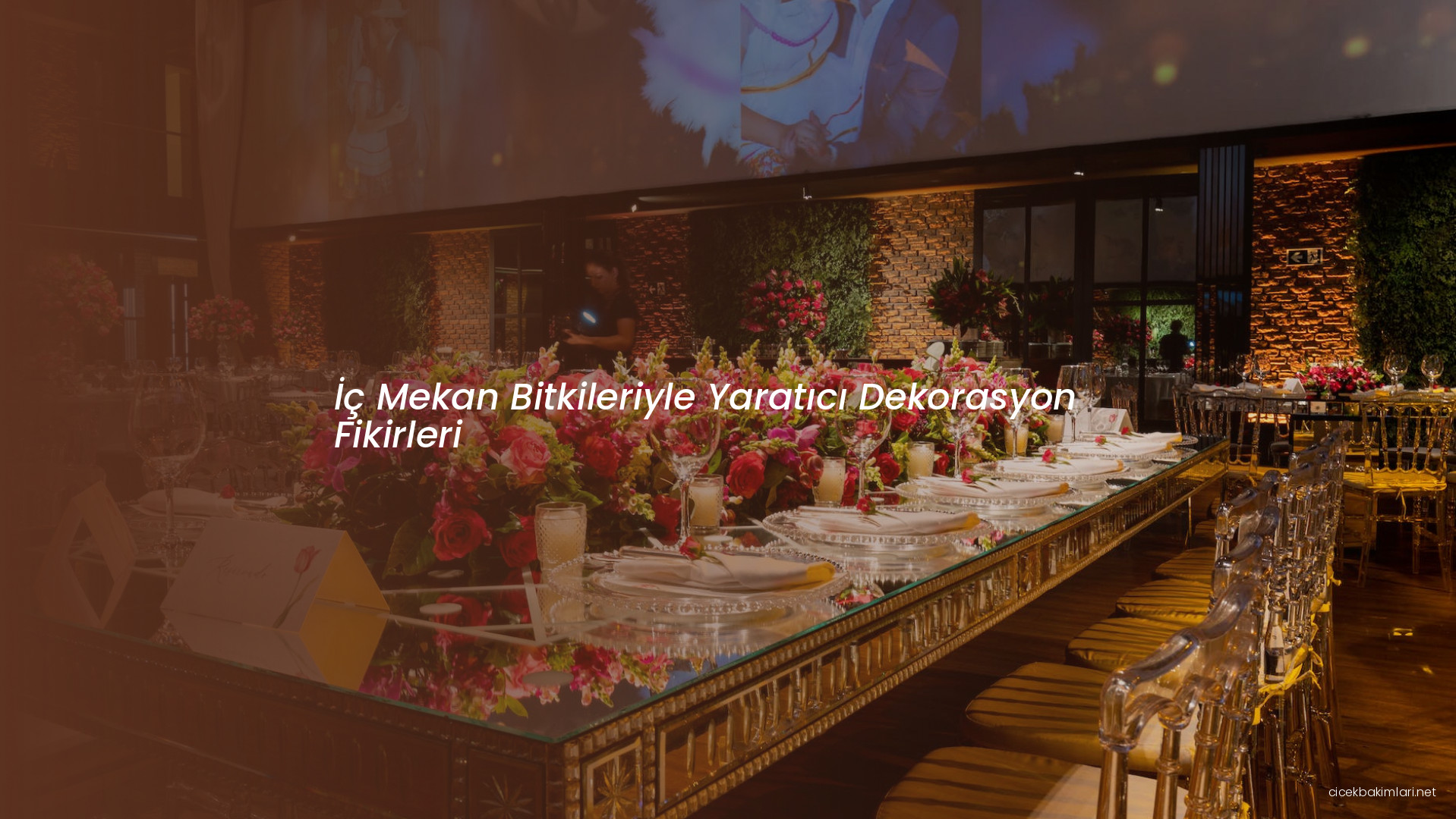 İç Mekan Bitkileriyle Yaratıcı Dekorasyon Fikirleri