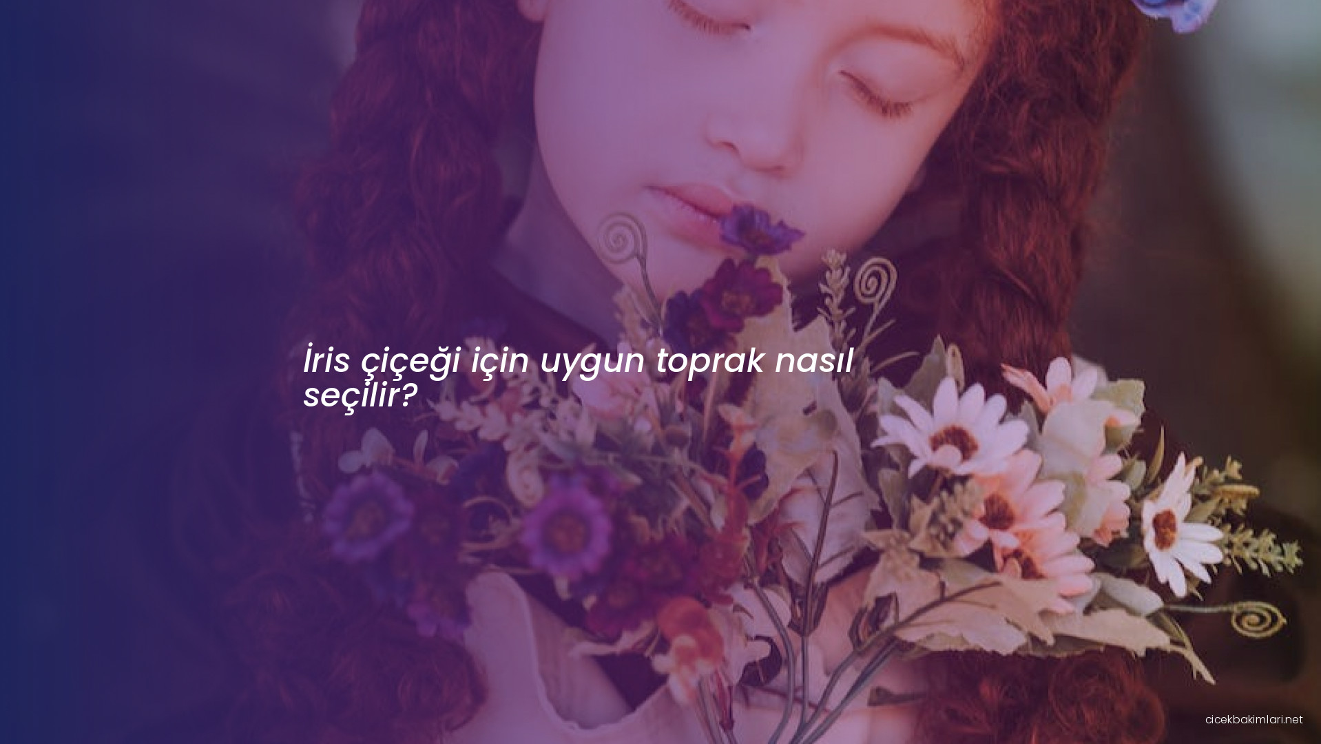 İris çiçeği için uygun toprak nasıl seçilir?