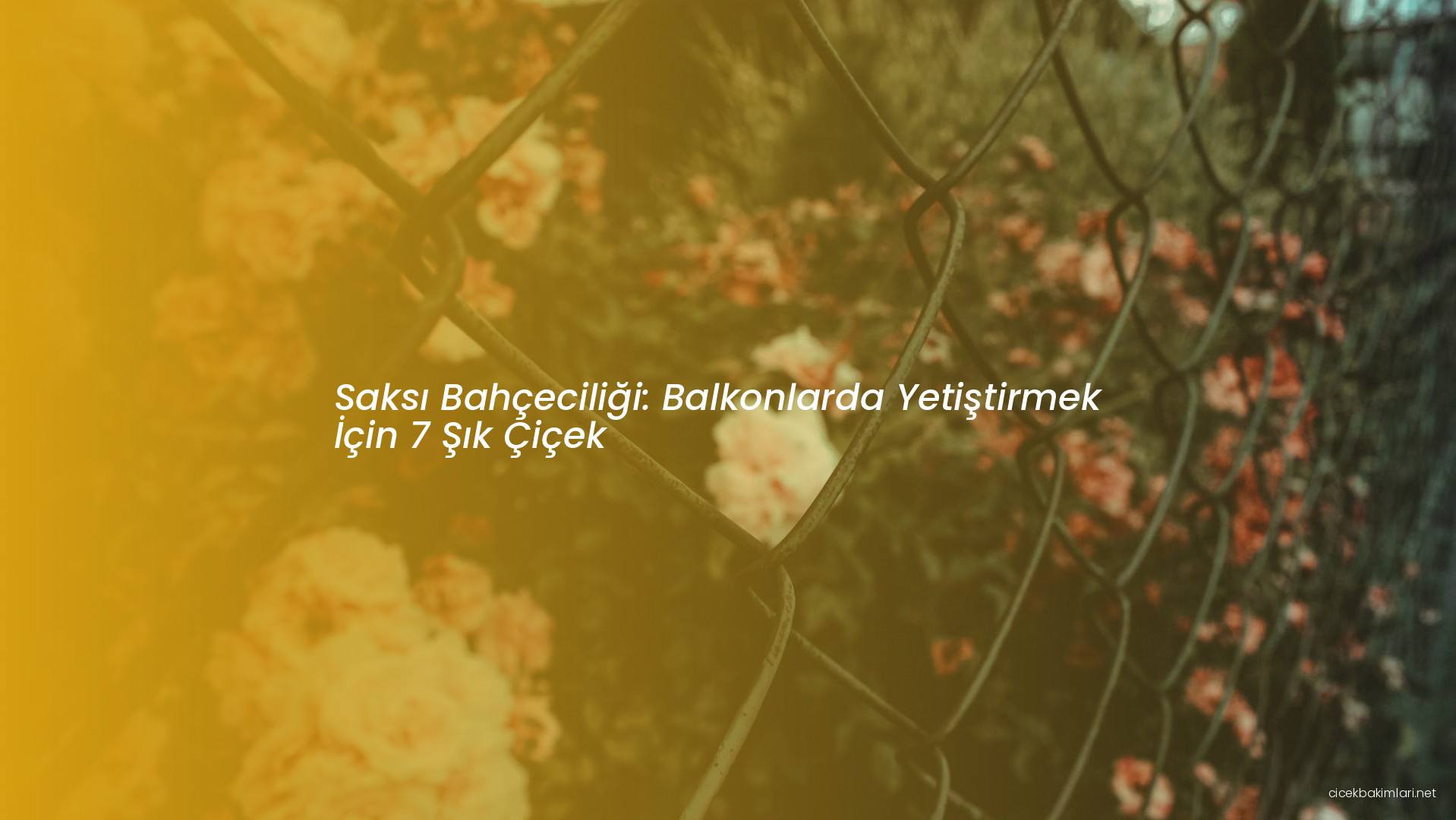Saksı Bahçeciliği: Balkonlarda Yetiştirmek İçin 7 Şık Çiçek