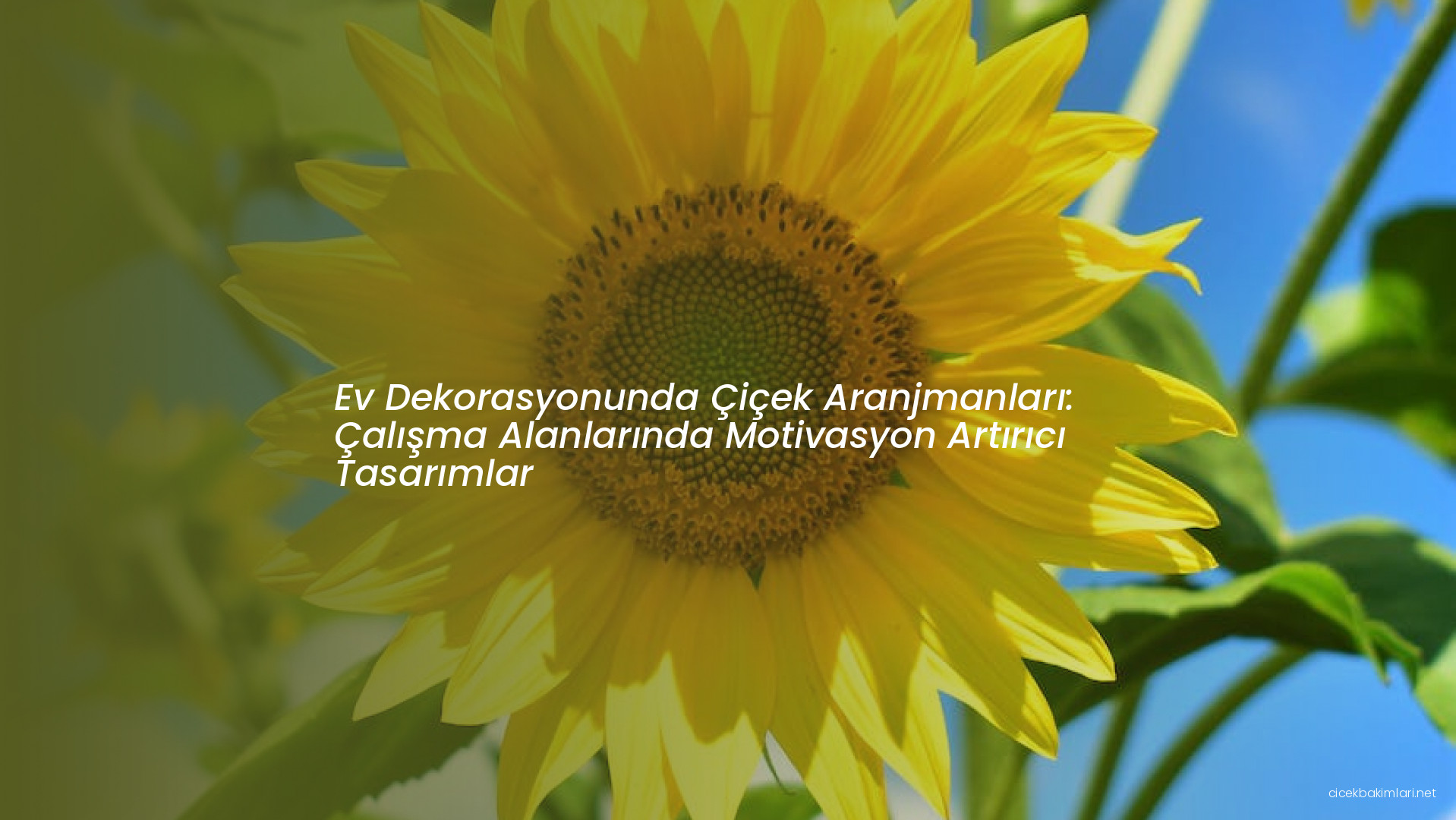 Ev Dekorasyonunda Çiçek Aranjmanları: Çalışma Alanlarında Motivasyon Artırıcı Tasarımlar