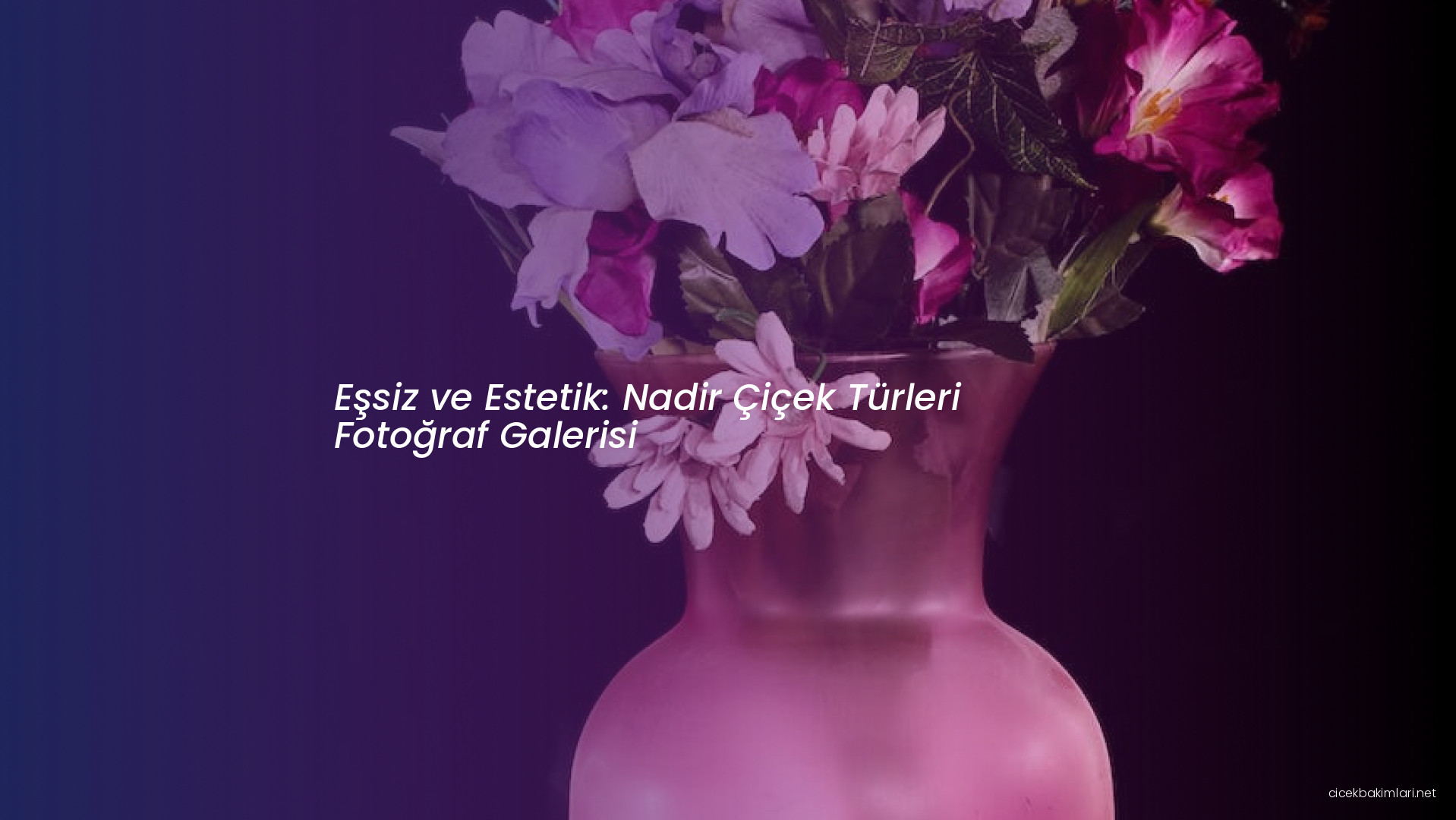 Eşsiz ve Estetik: Nadir Çiçek Türleri Fotoğraf Galerisi