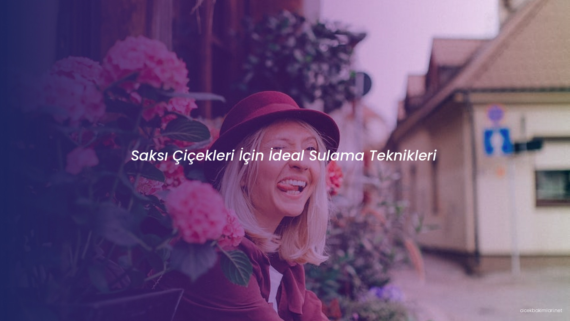 Saksı Çiçekleri İçin İdeal Sulama Teknikleri