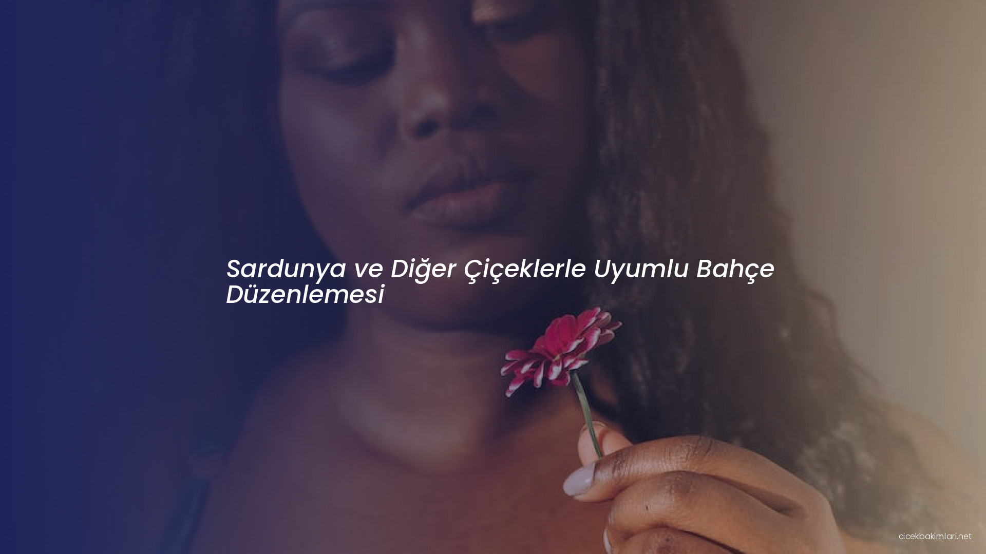 Sardunya ve Diğer Çiçeklerle Uyumlu Bahçe Düzenlemesi